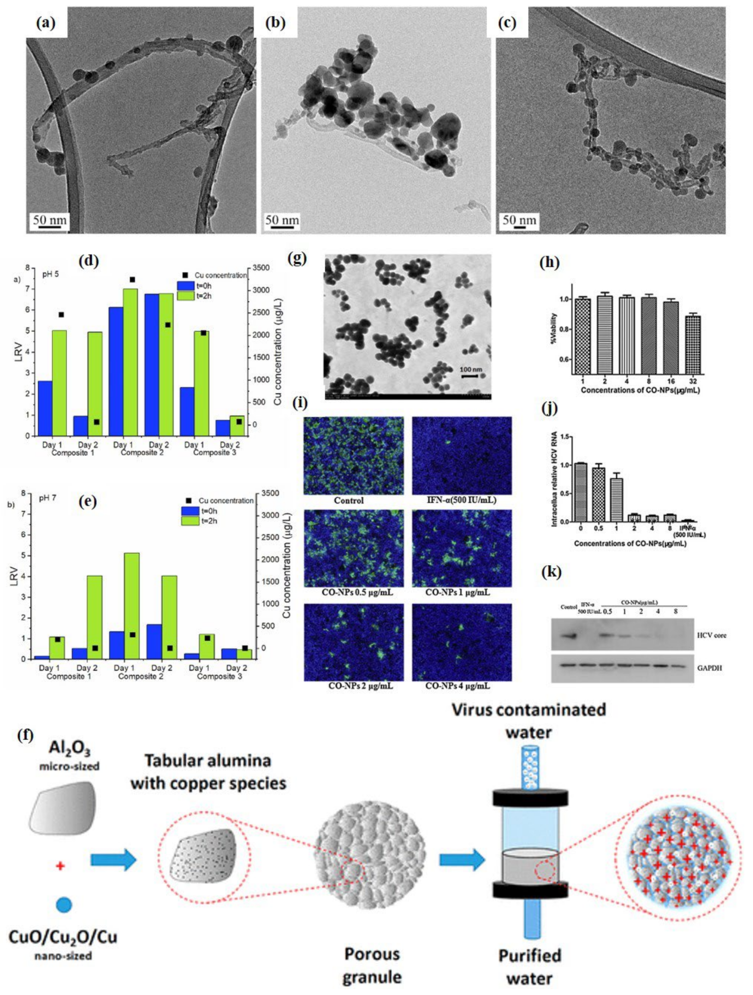Catalysts 12 01047 g015