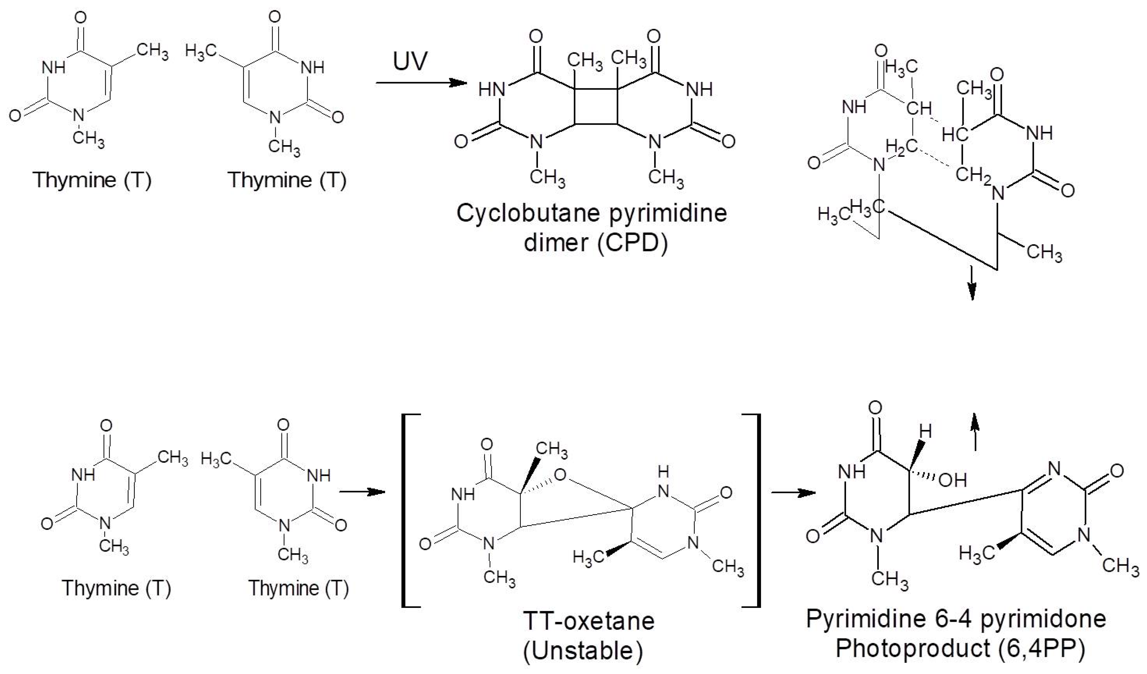 Catalysts 12 01047 sch001