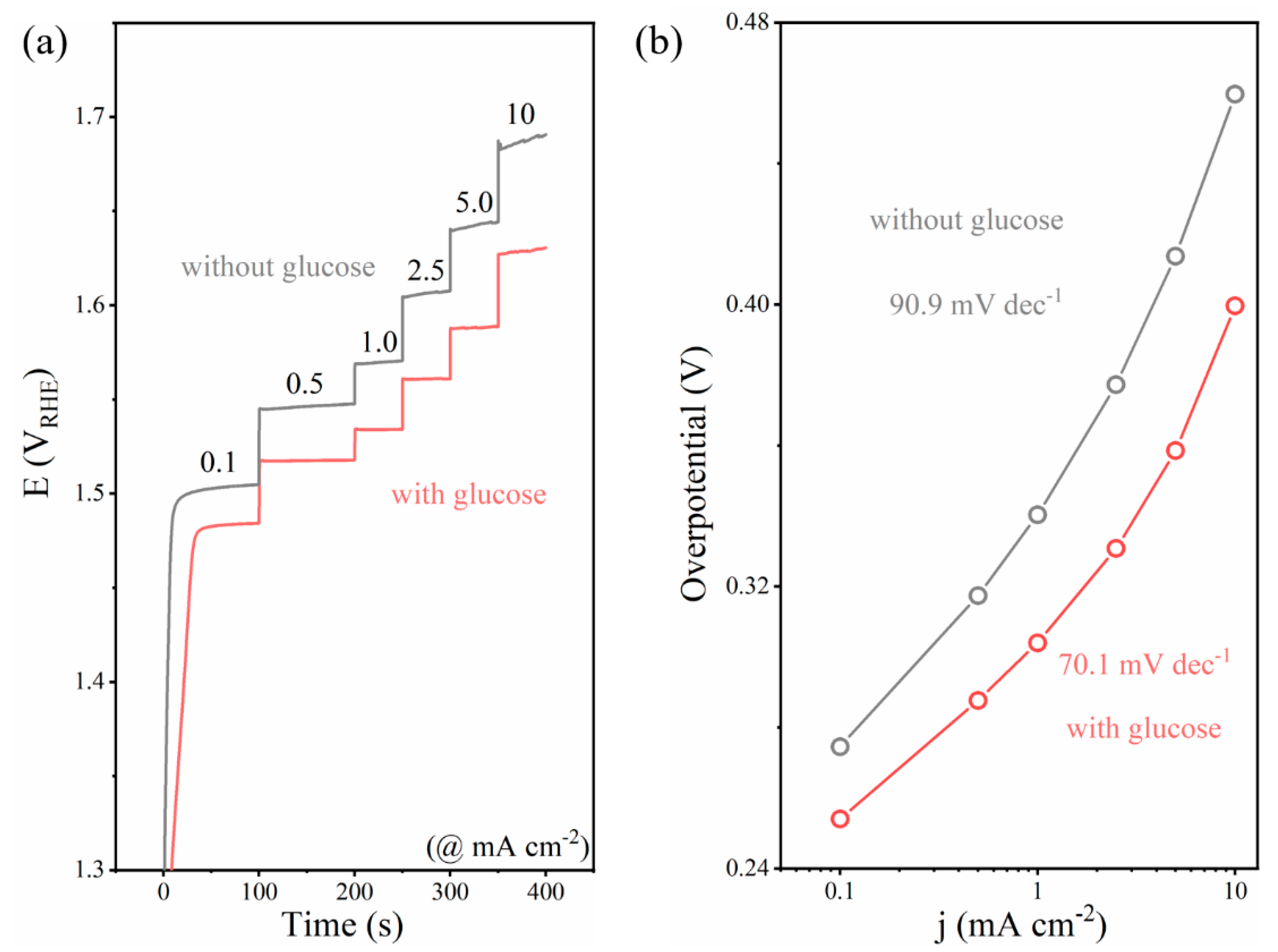 Catalysts 12 01050 g003