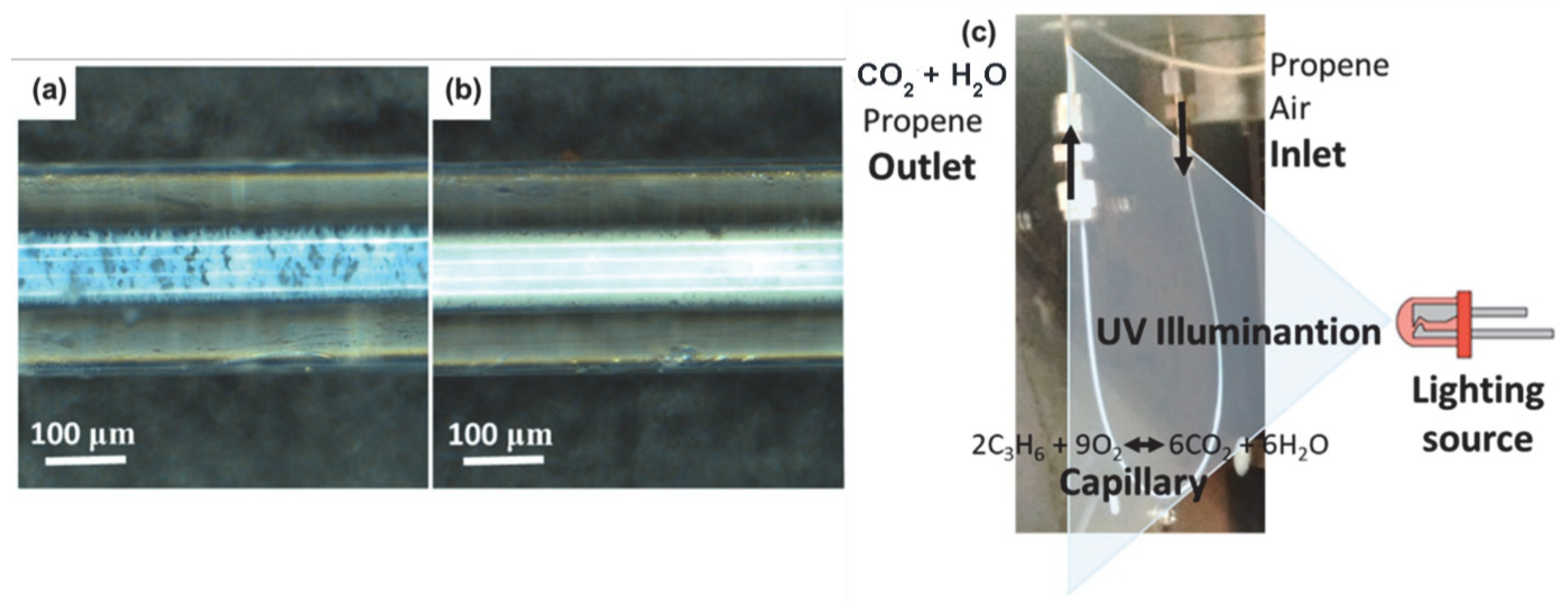 Catalysts 12 01051 g006