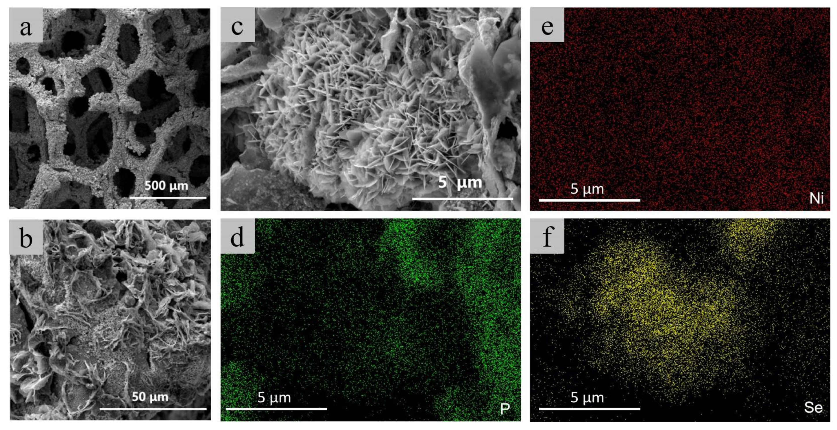 Catalysts 12 01055 g002