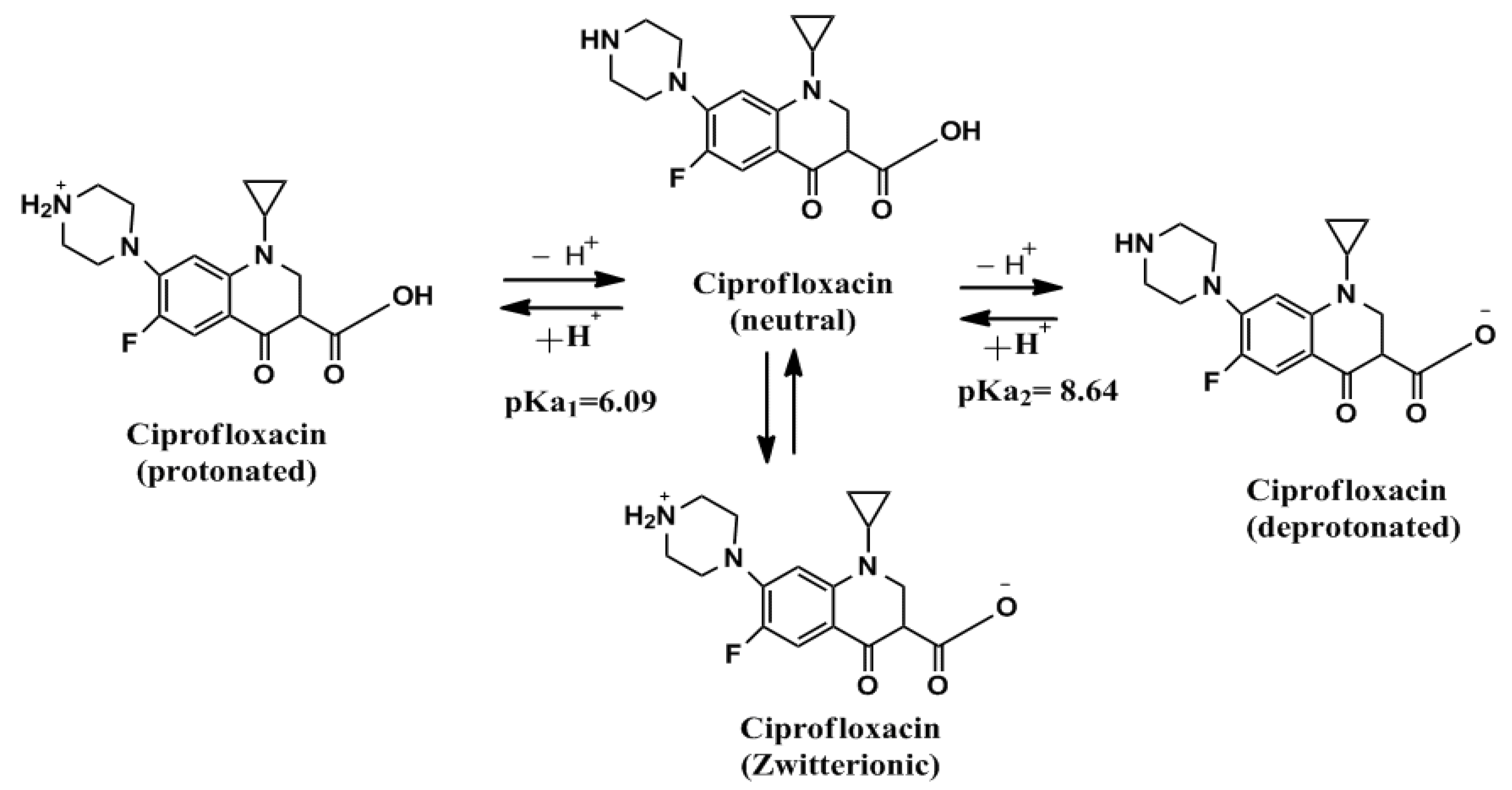 Catalysts 12 01063 g009