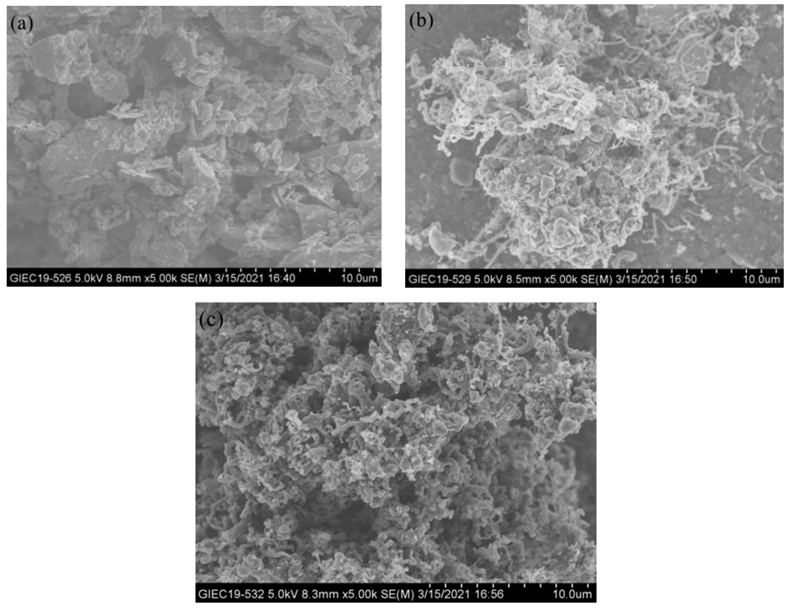 Catalysts 12 01088 g006