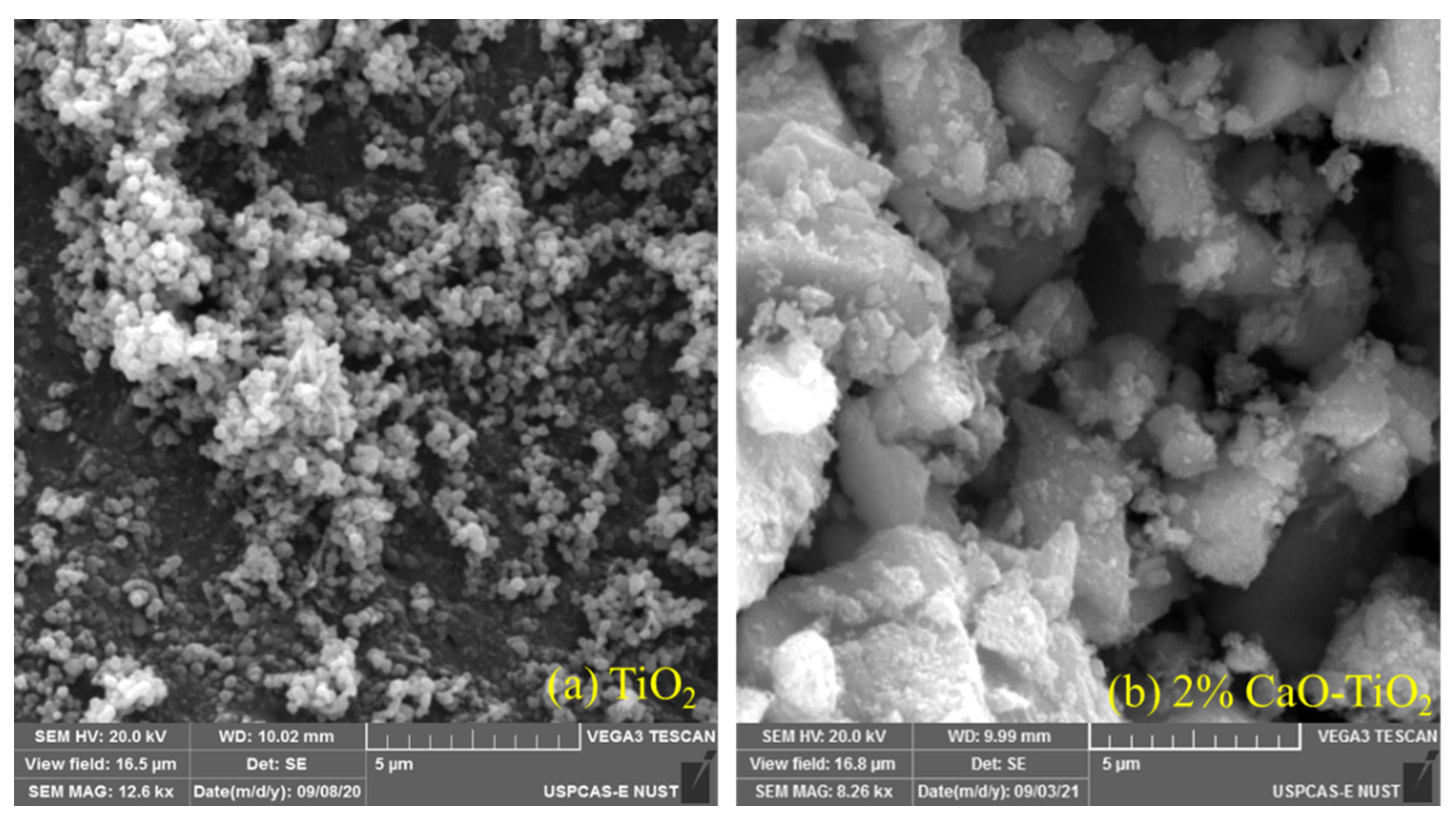 Catalysts 12 01089 g005