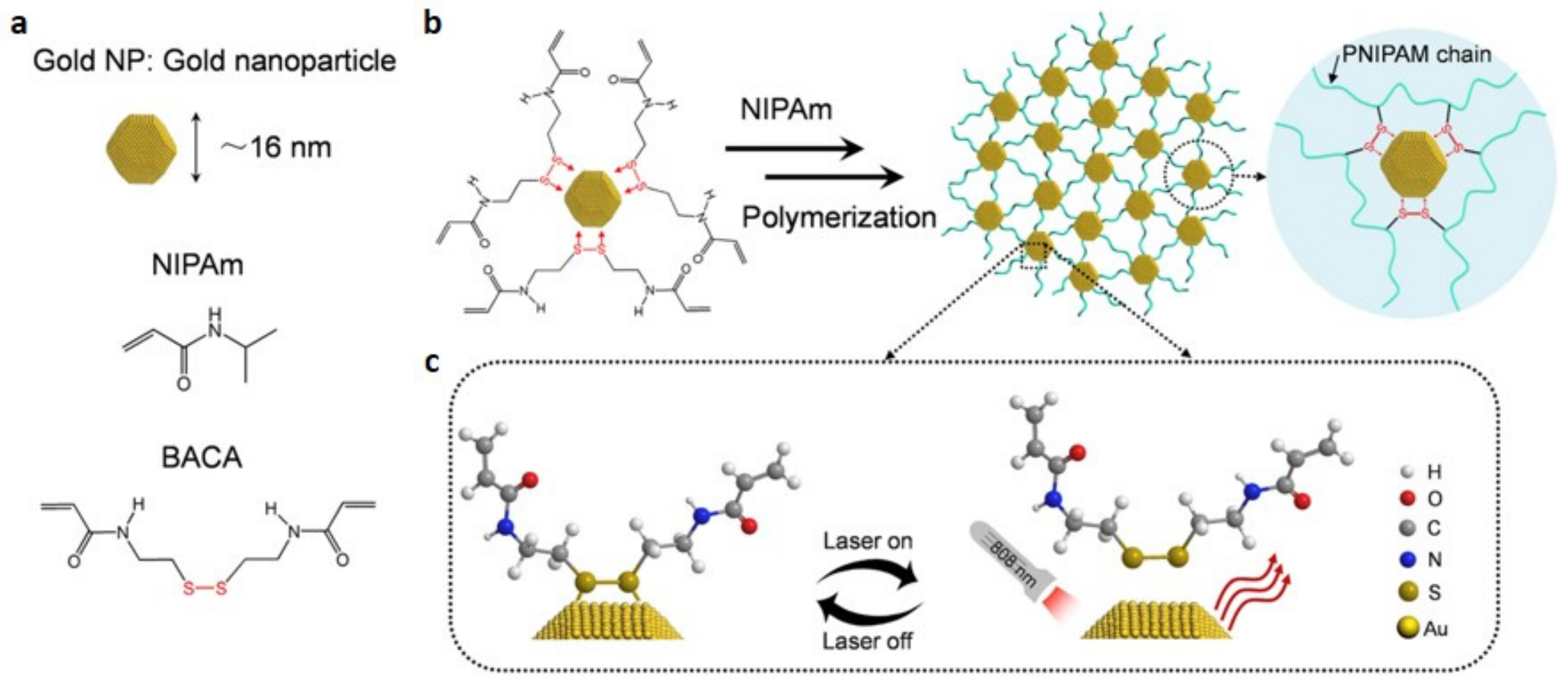 Catalysts 12 01096 g001