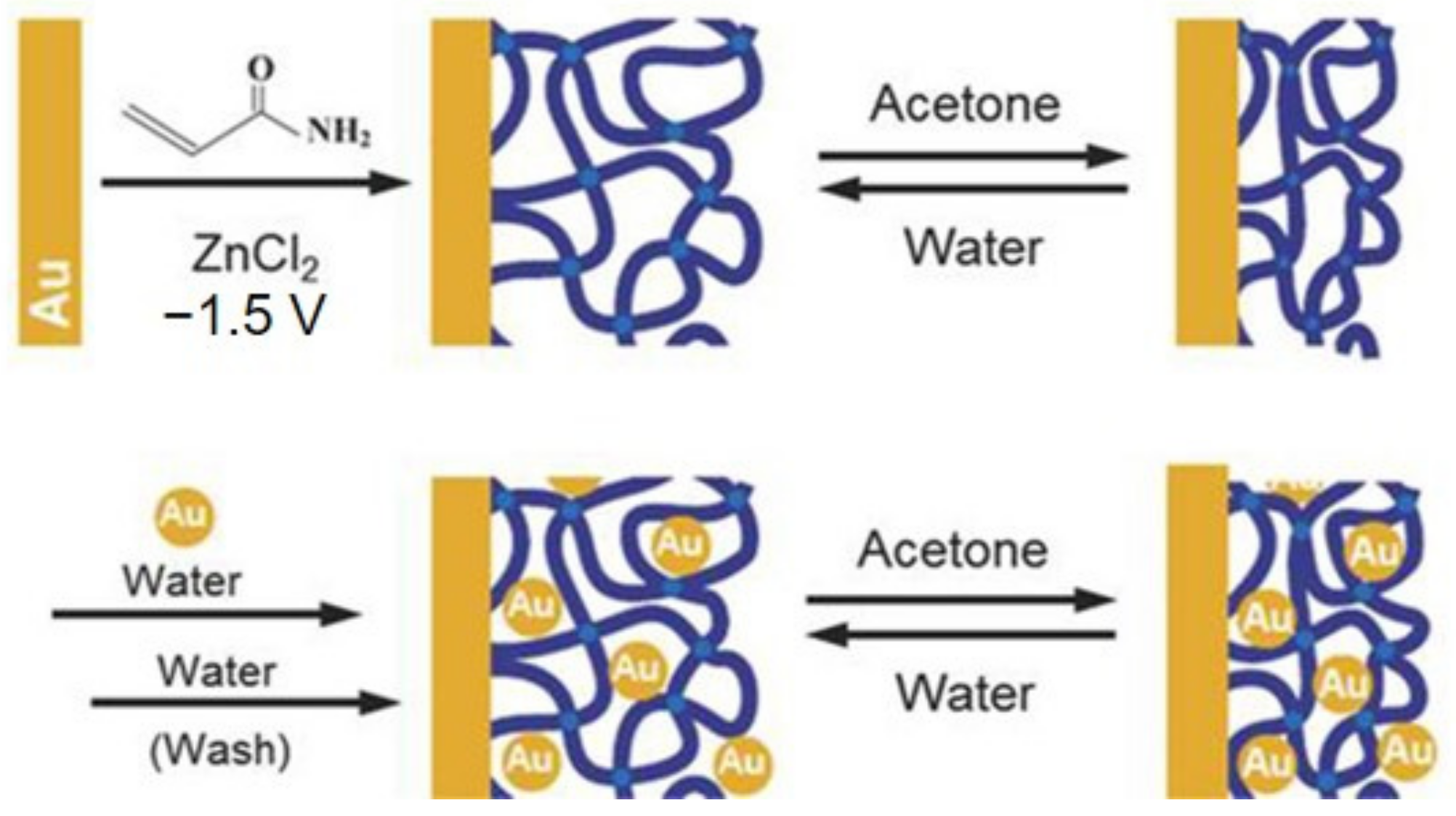 Catalysts 12 01096 g002