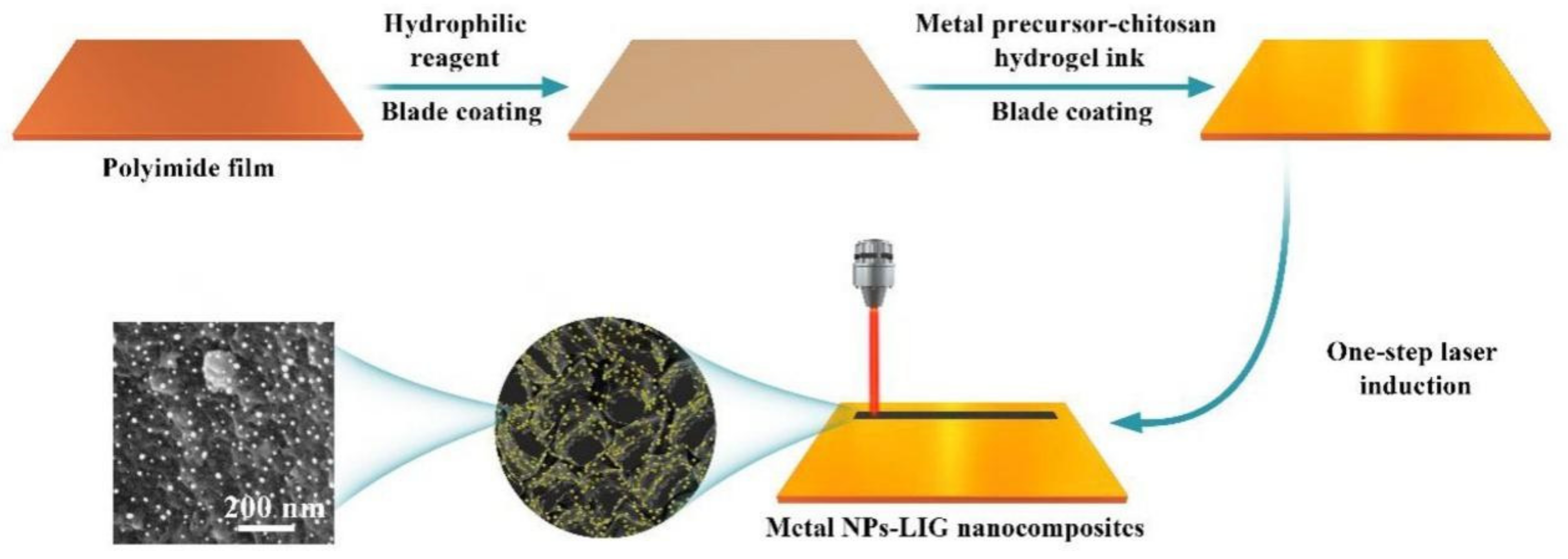 Catalysts 12 01096 g005