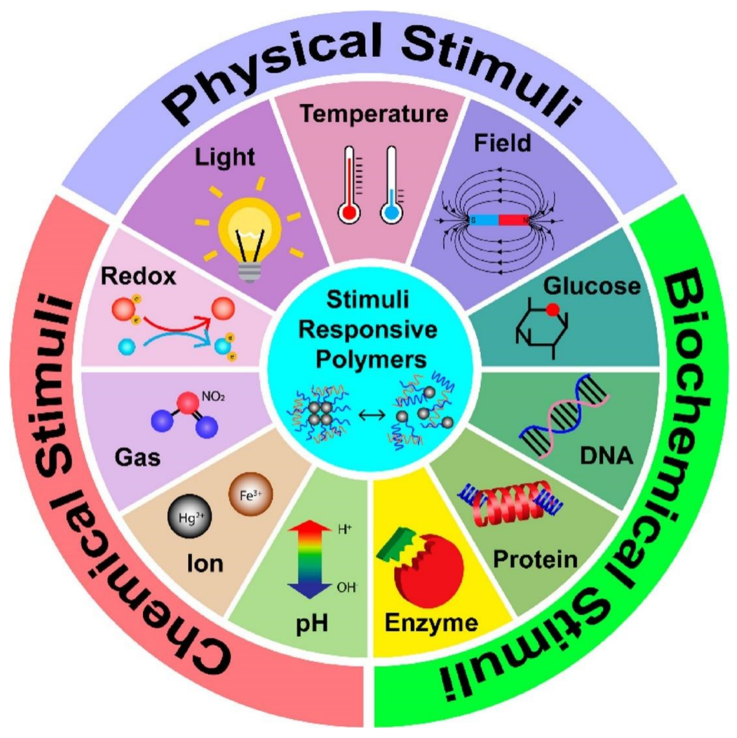 Catalysts 12 01096 g006