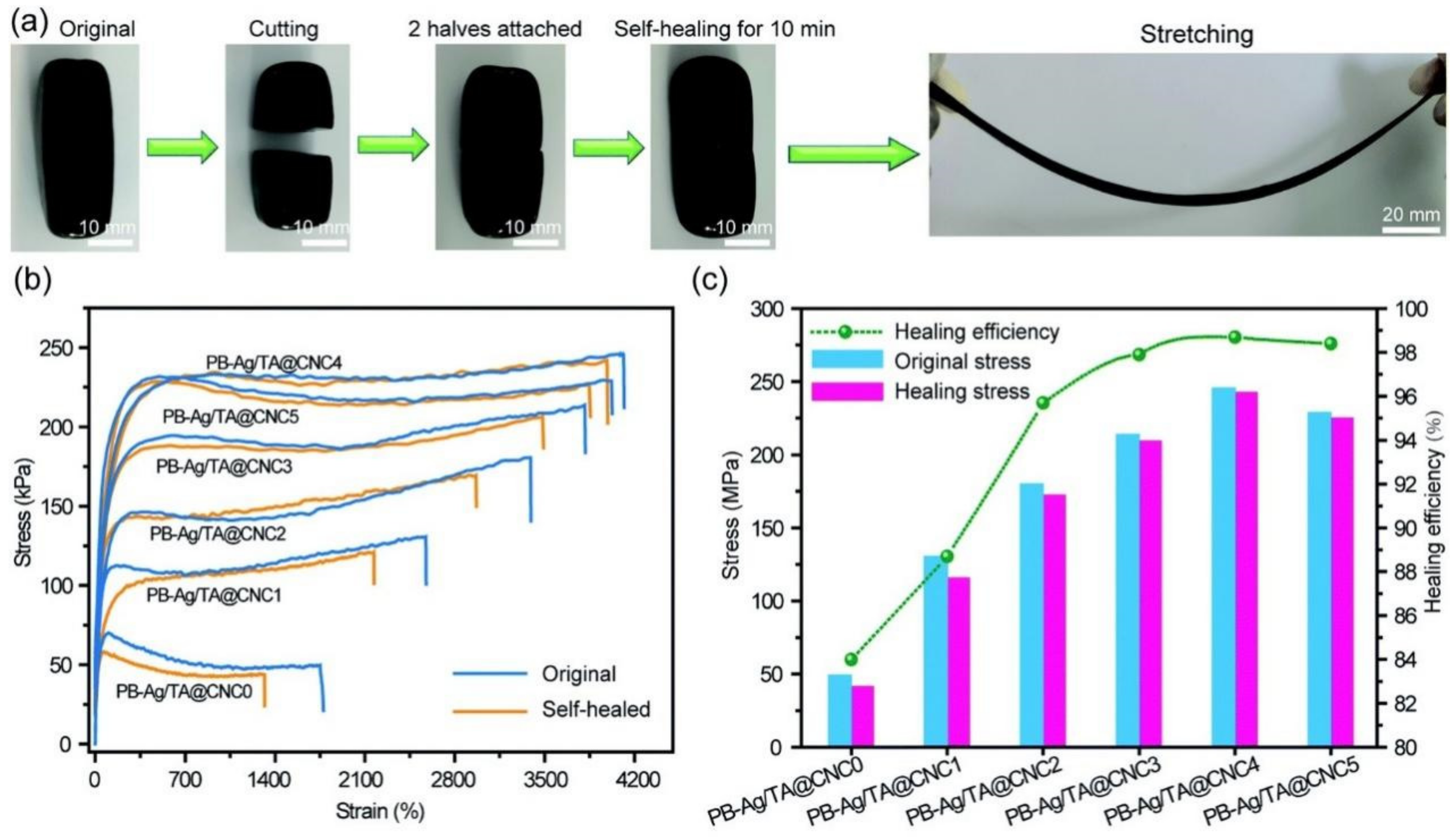 Catalysts 12 01096 g007