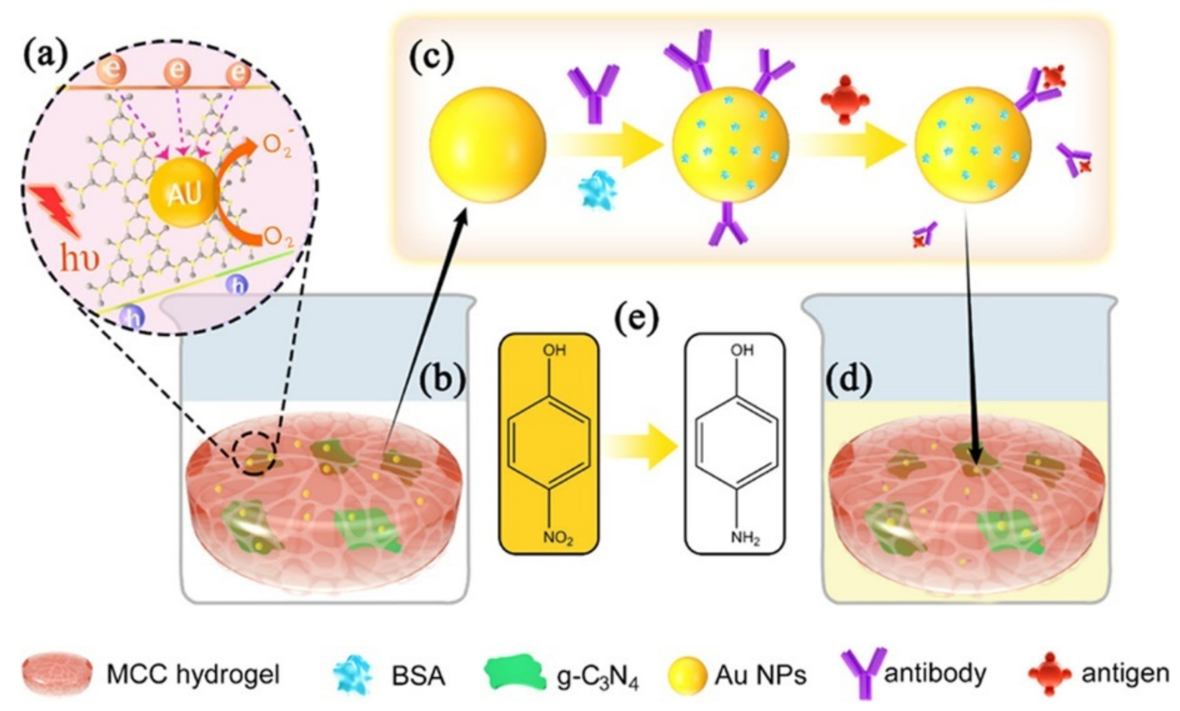 Catalysts 12 01096 g008