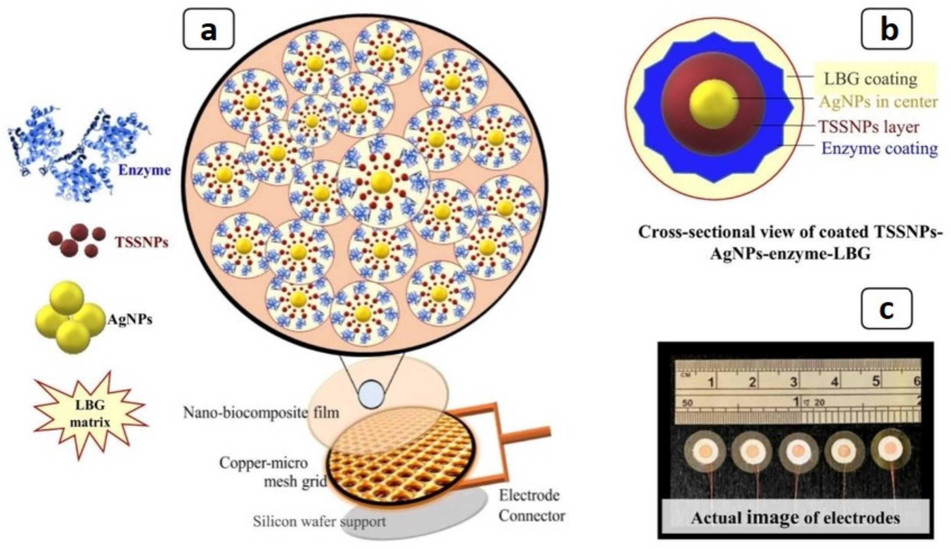 Catalysts 12 01096 g010