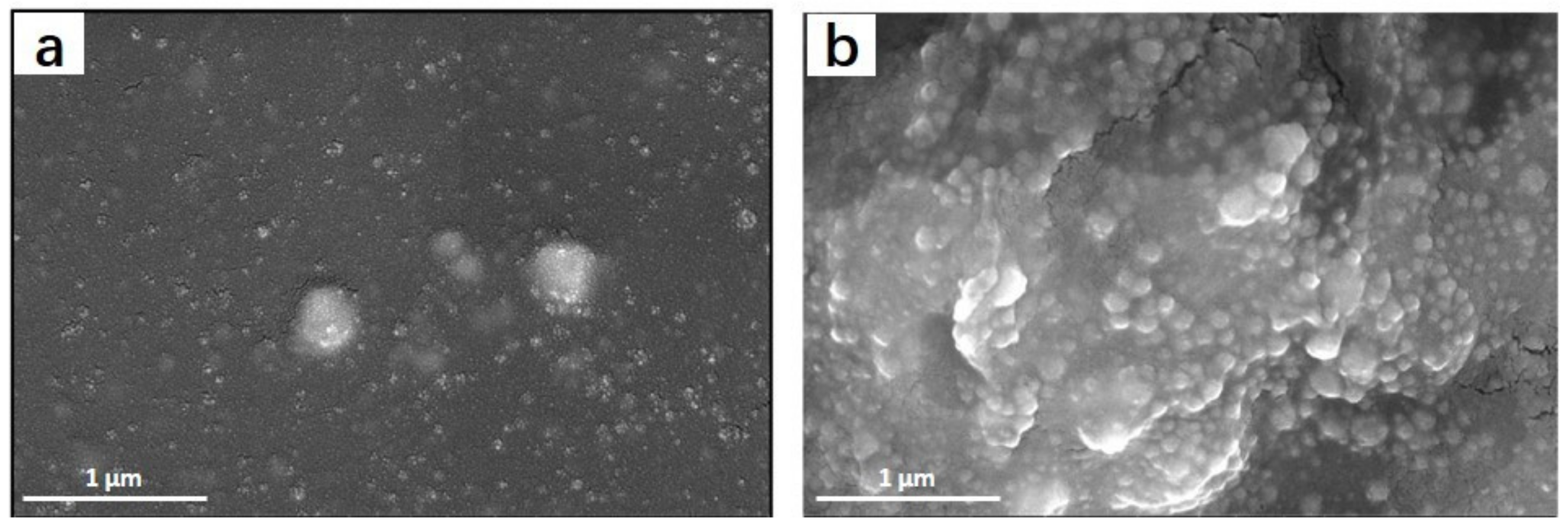 Catalysts 12 01096 g011