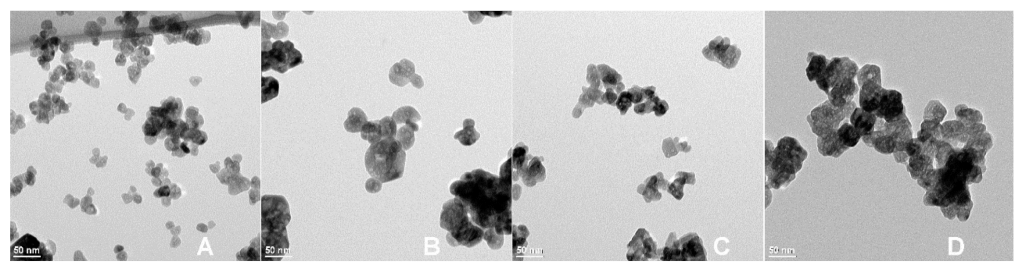 Catalysts 12 01099 g003