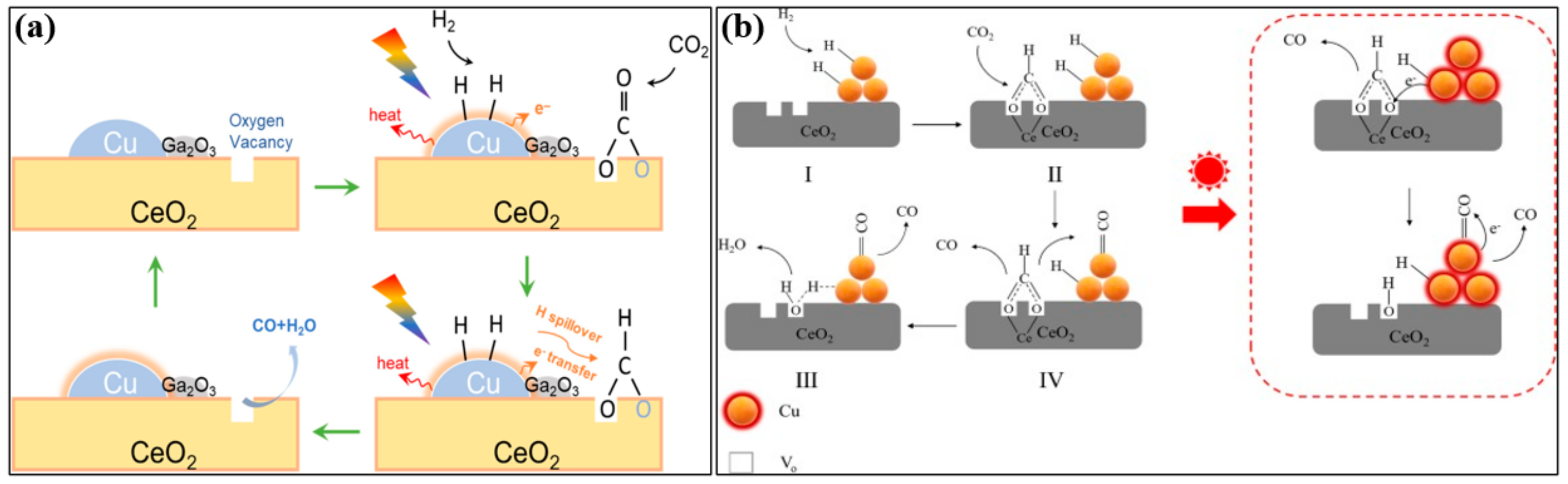 Catalysts 12 01101 g008