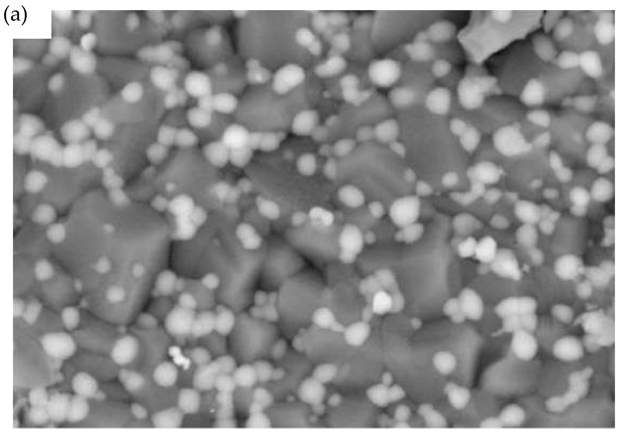 Catalysts 12 01116 g003a