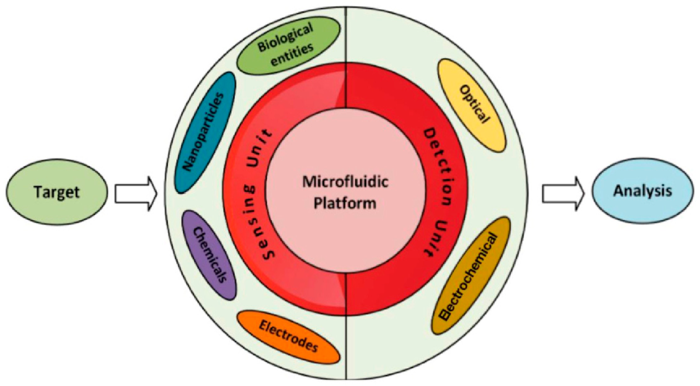 Catalysts 12 01124 g008 Catalysts 12 01124 g008
