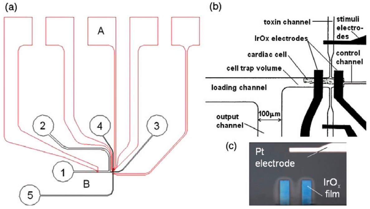 Catalysts 12 01124 g009 Catalysts 12 01124 g009