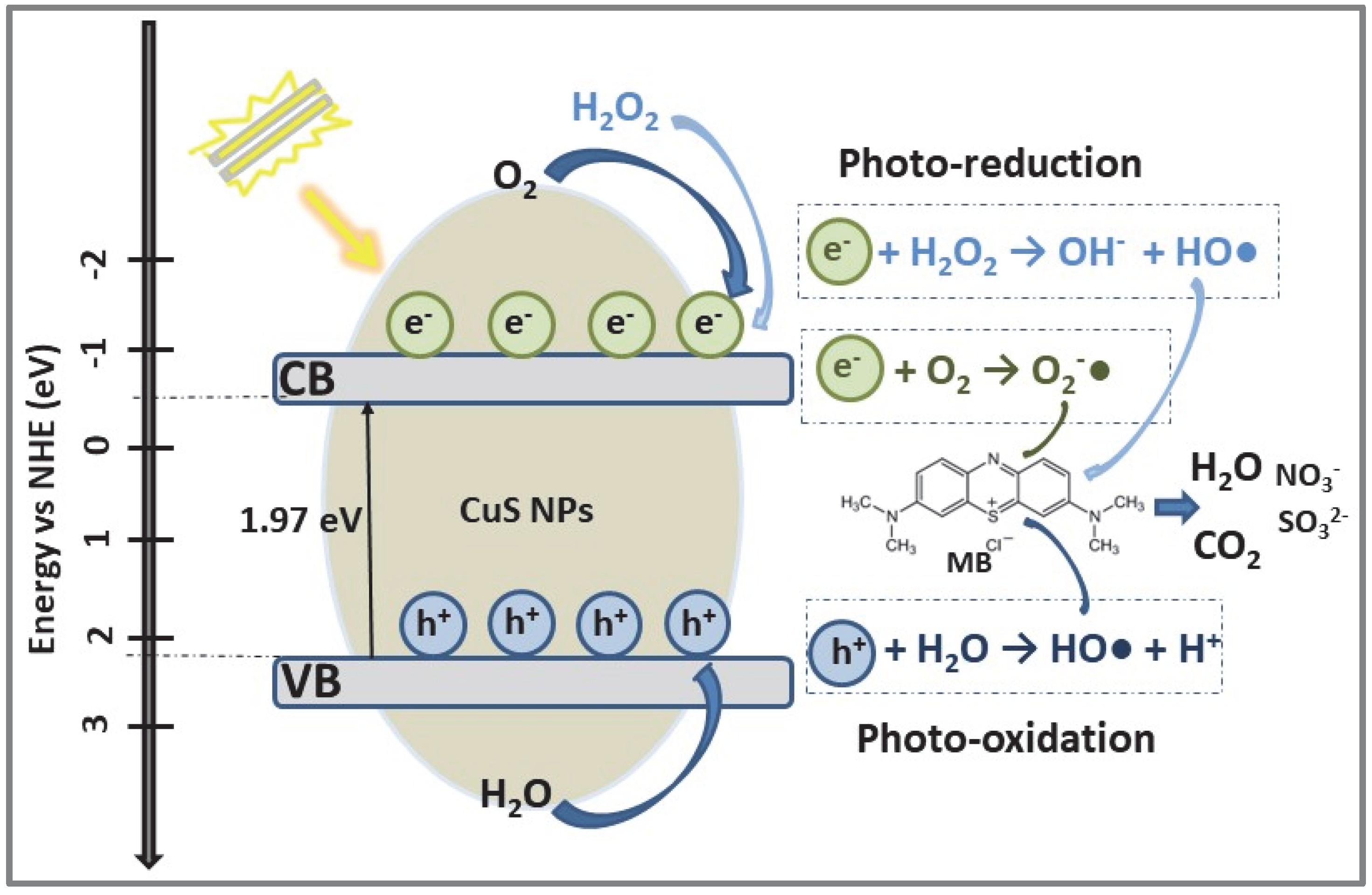 Catalysts 12 01135 g002