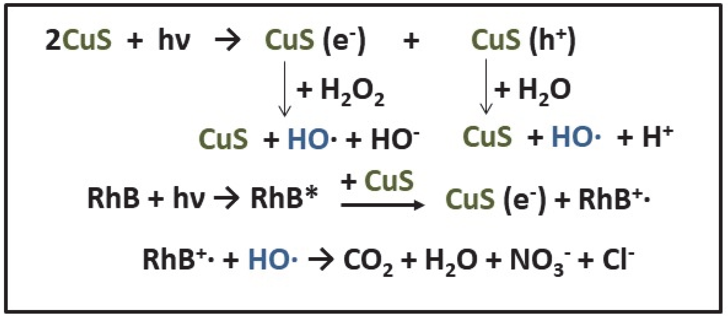 Catalysts 12 01135 g003