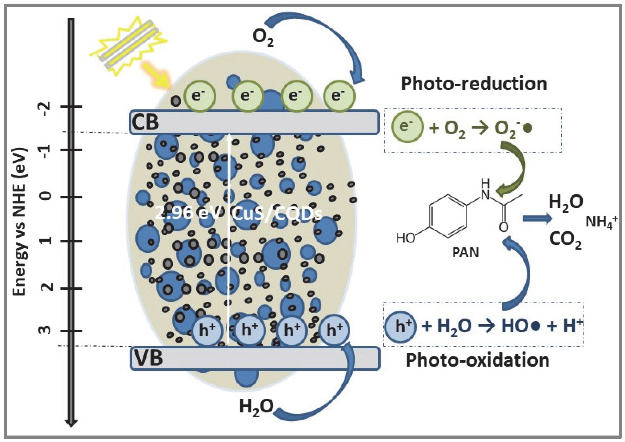 Catalysts 12 01135 g005