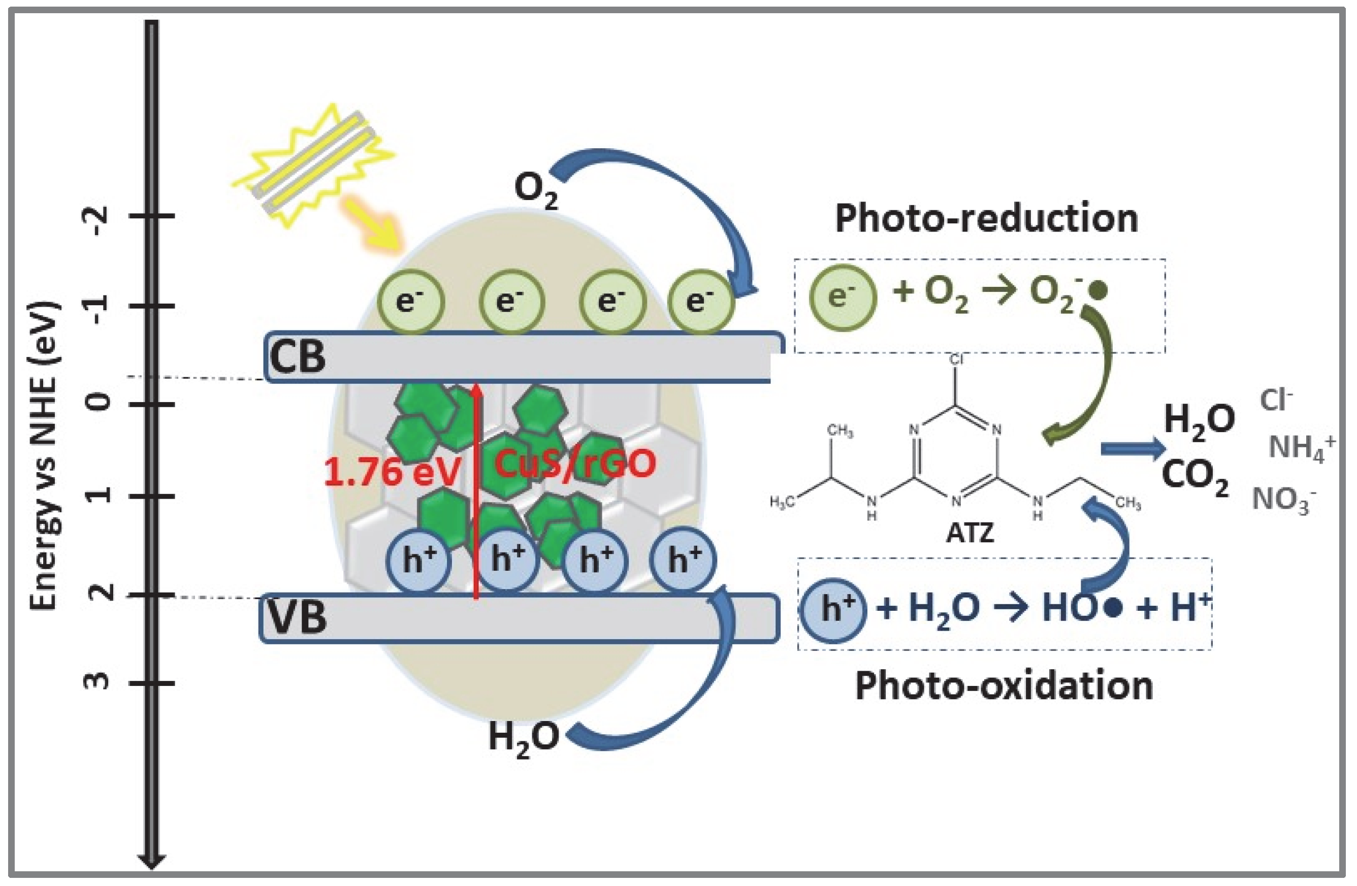 Catalysts 12 01135 g006