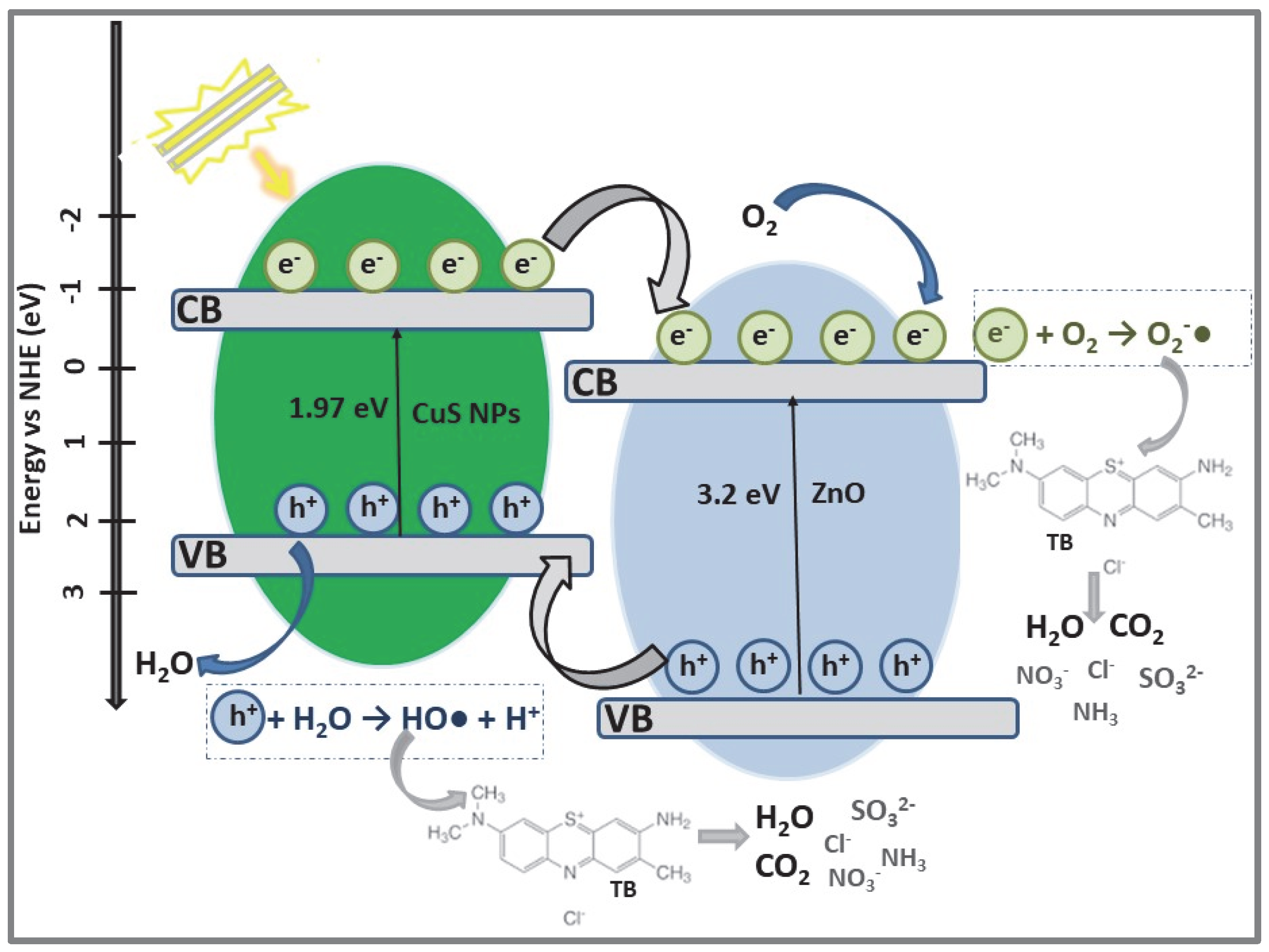 Catalysts 12 01135 g008