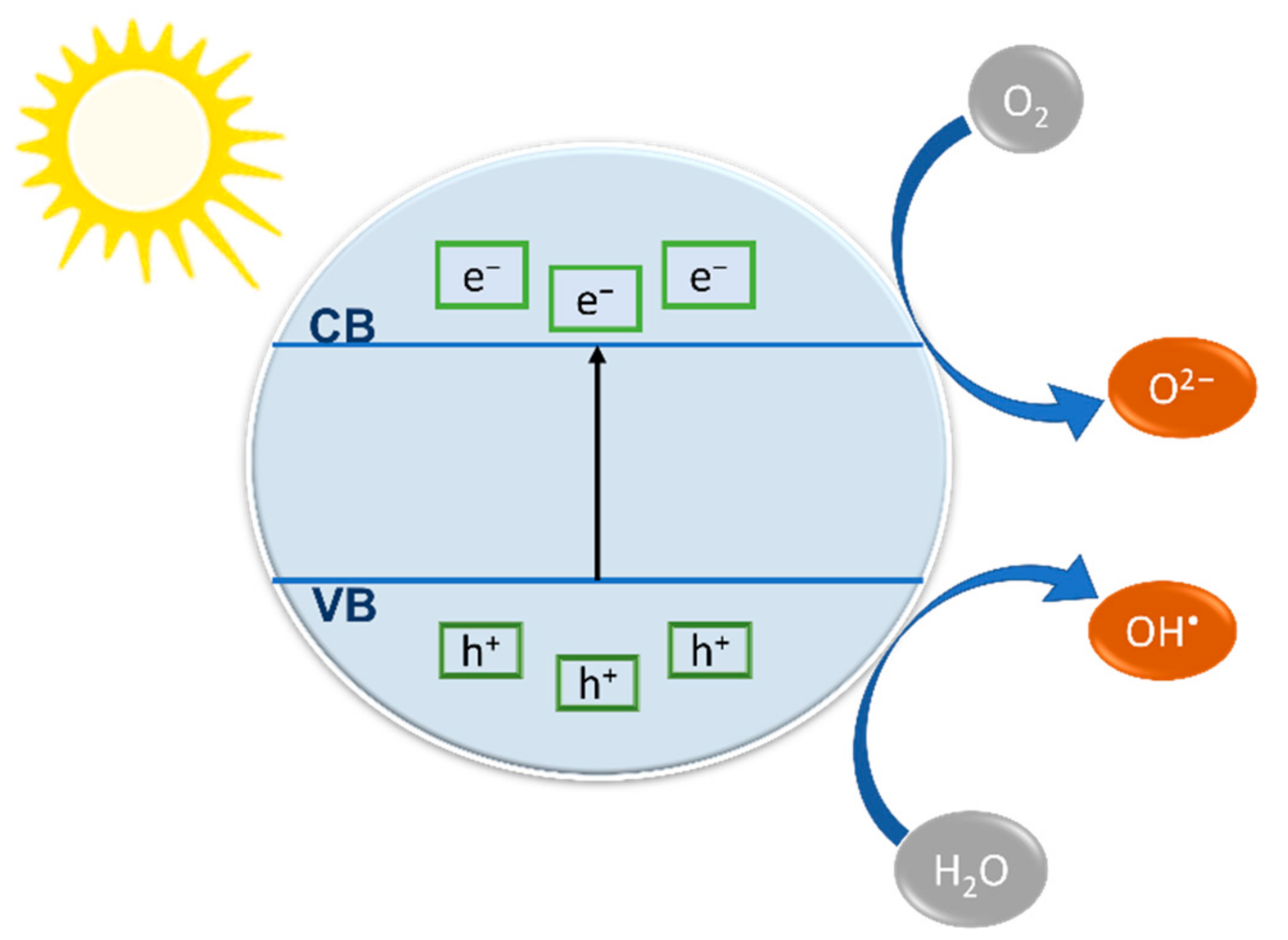 Catalysts 12 01138 g001