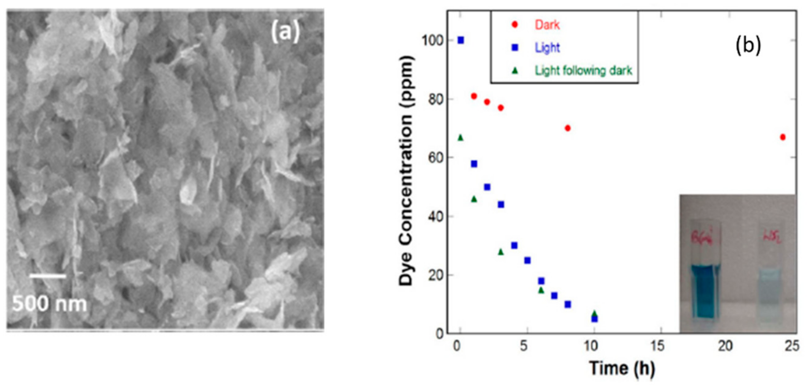 Catalysts 12 01138 g002