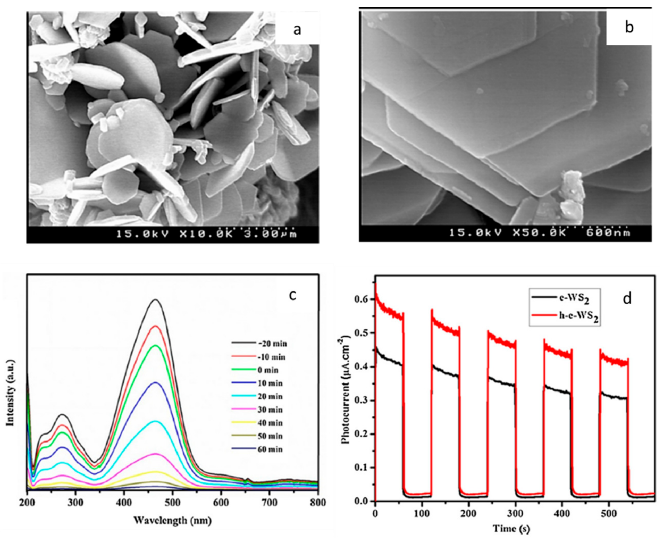 Catalysts 12 01138 g006