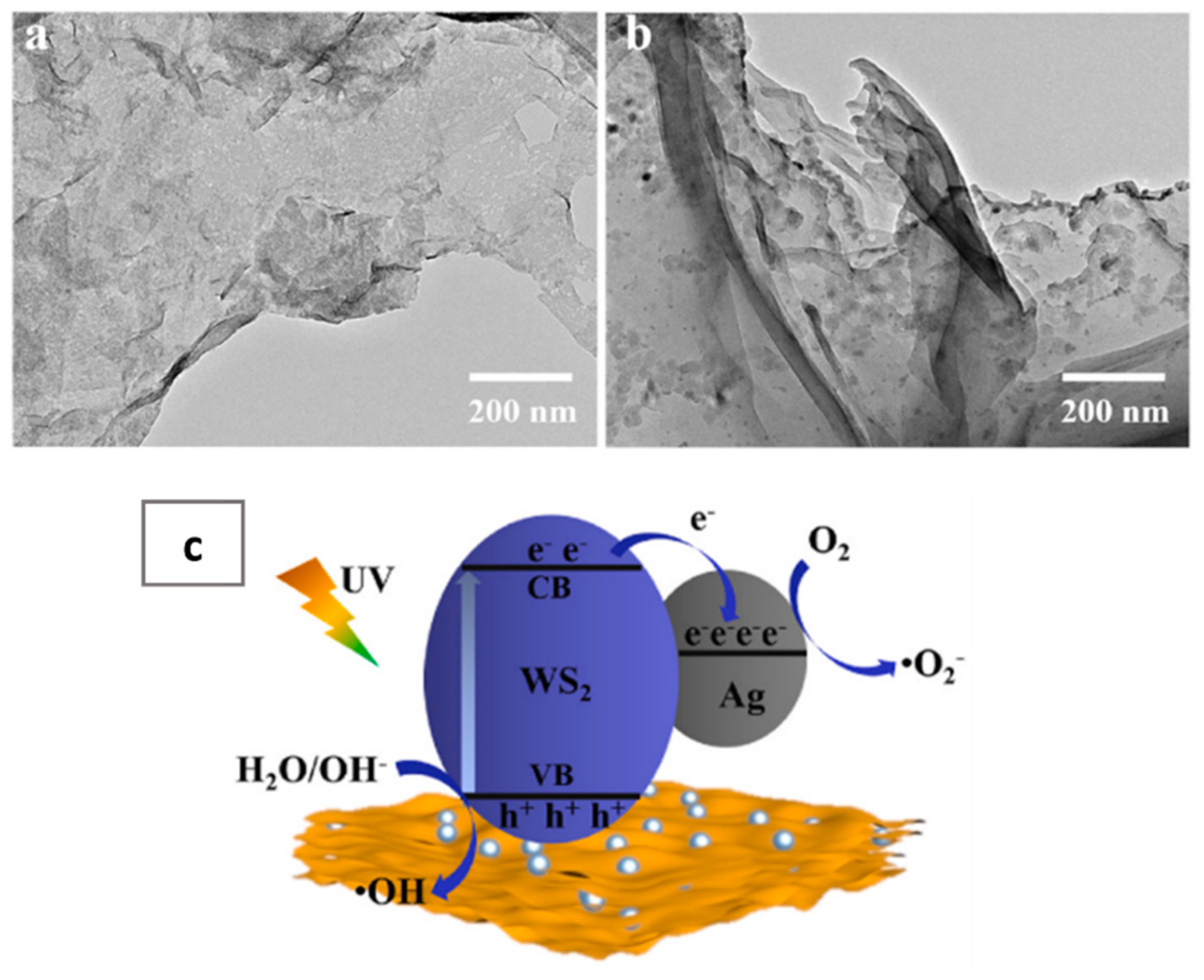 Catalysts 12 01138 g007