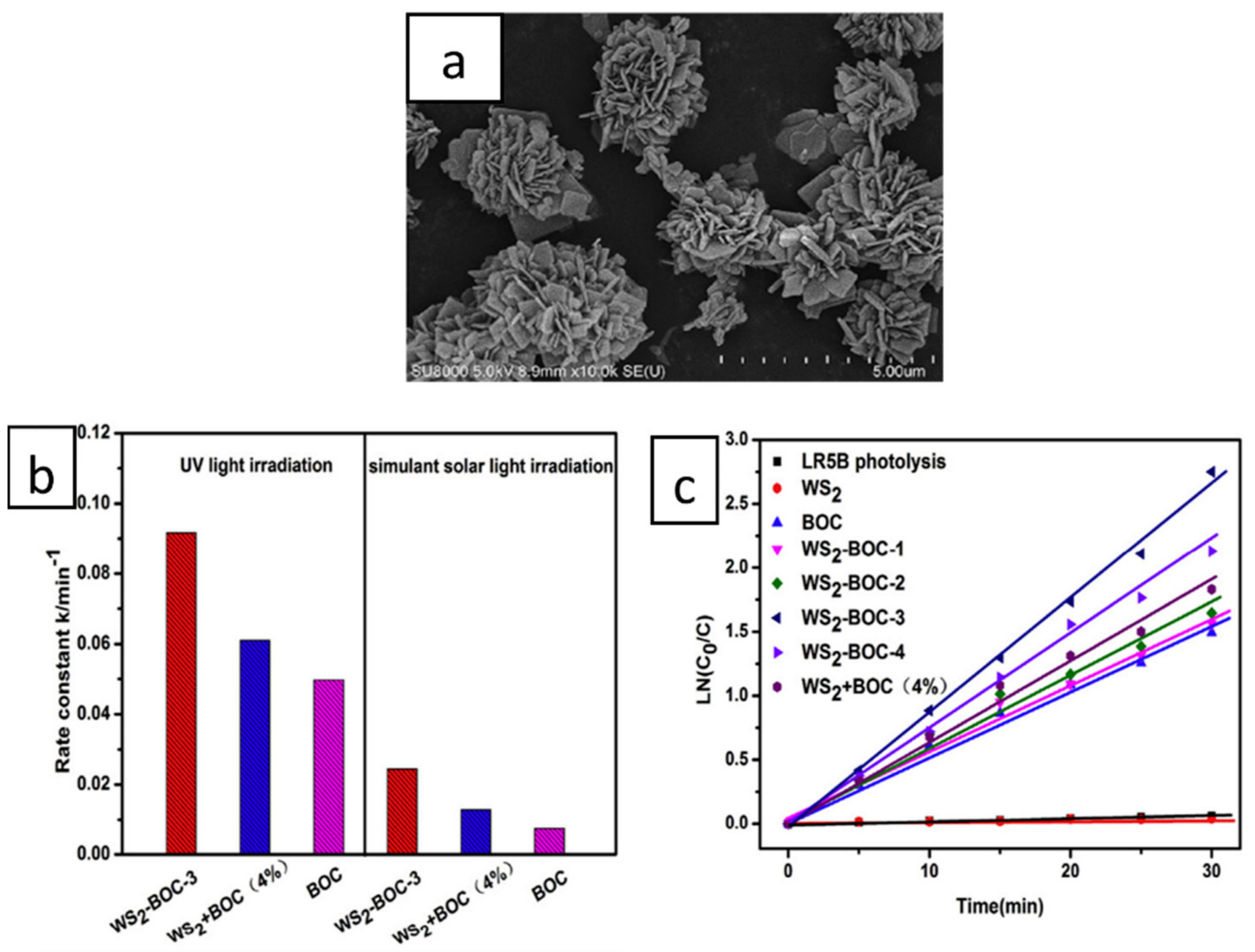 Catalysts 12 01138 g009