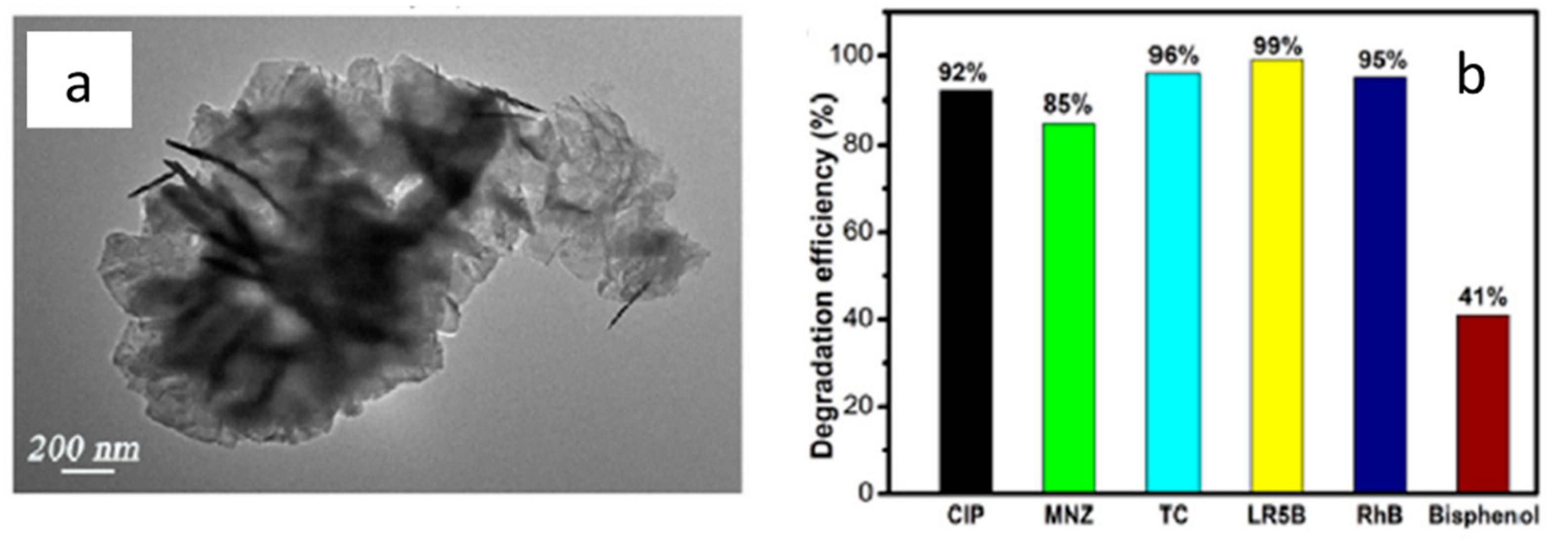 Catalysts 12 01138 g010