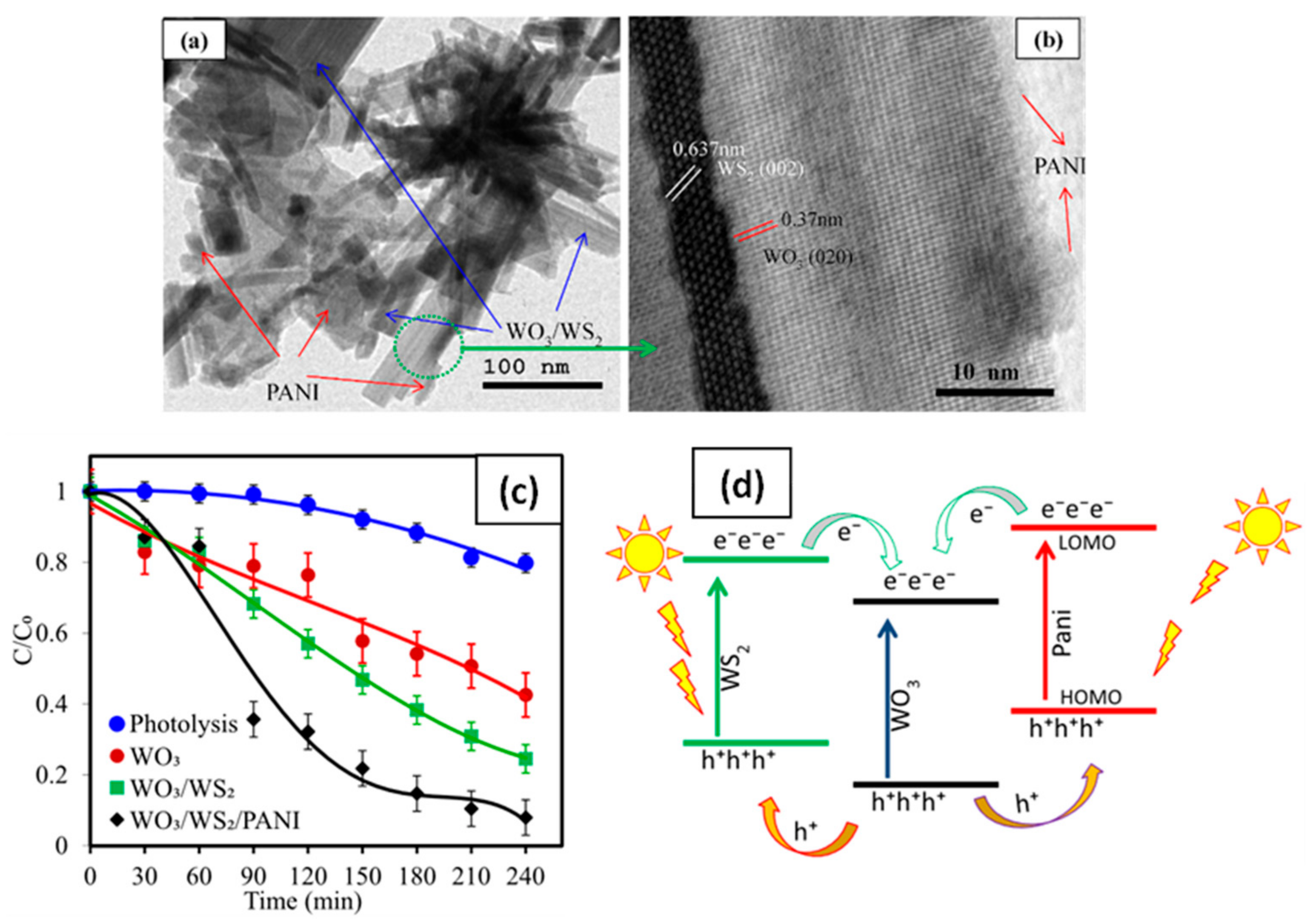 Catalysts 12 01138 g021