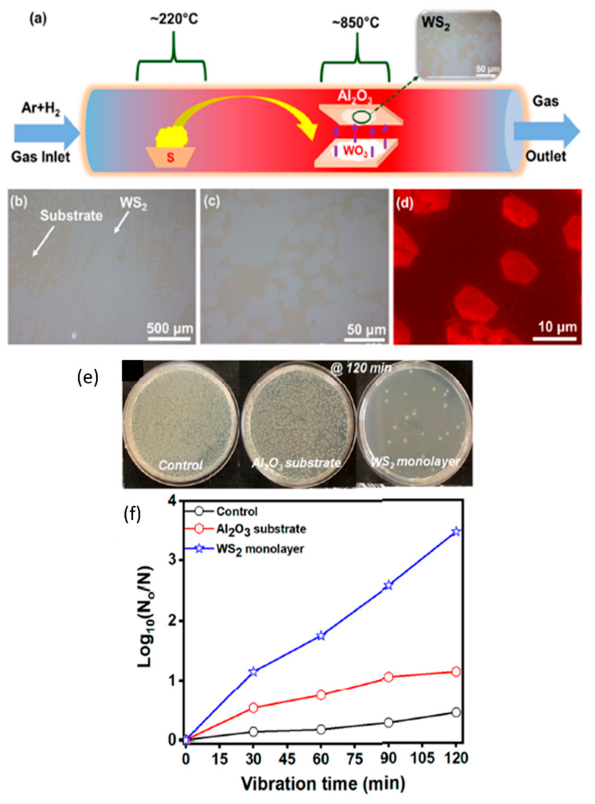 Catalysts 12 01138 g026