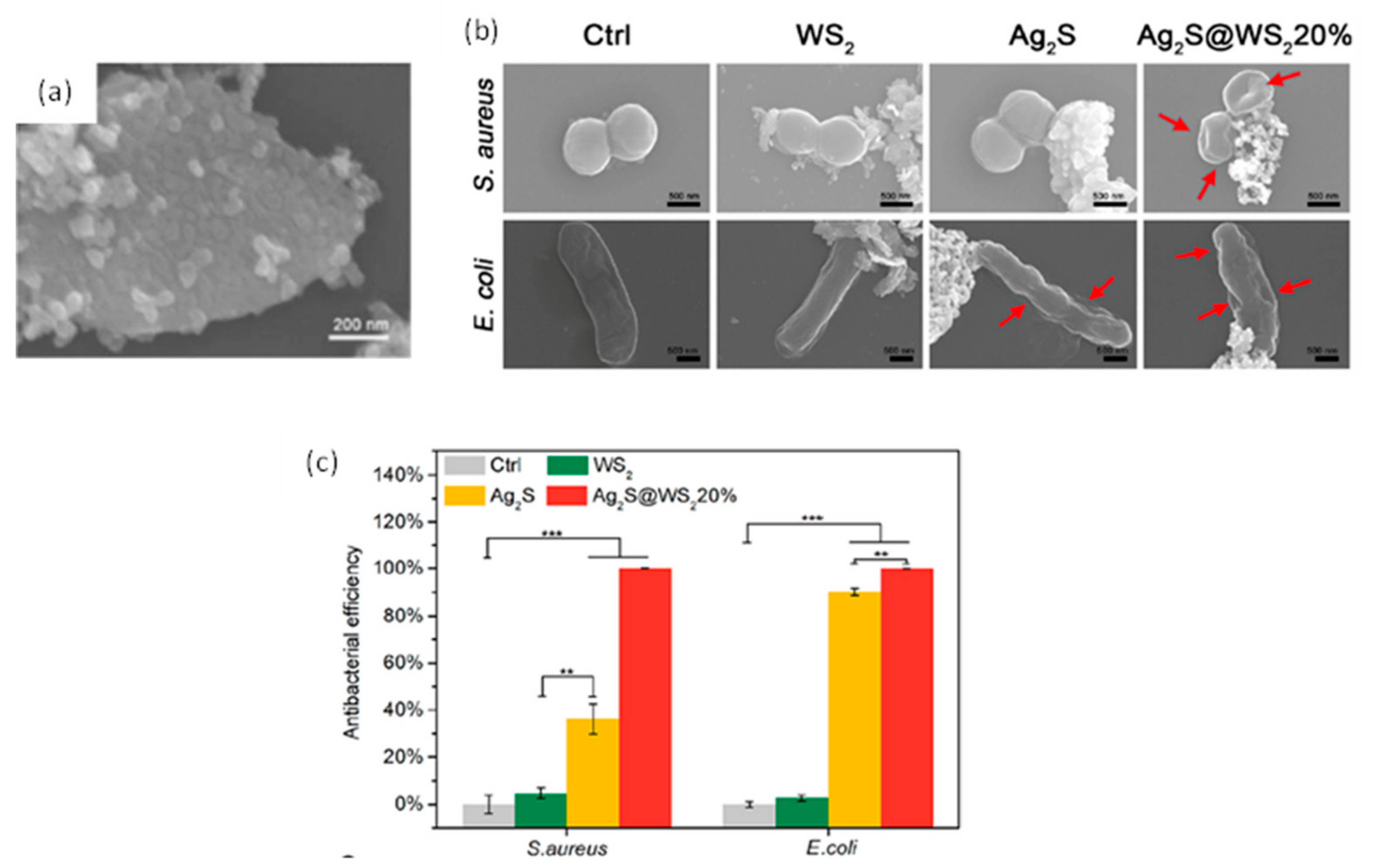 Catalysts 12 01138 g027