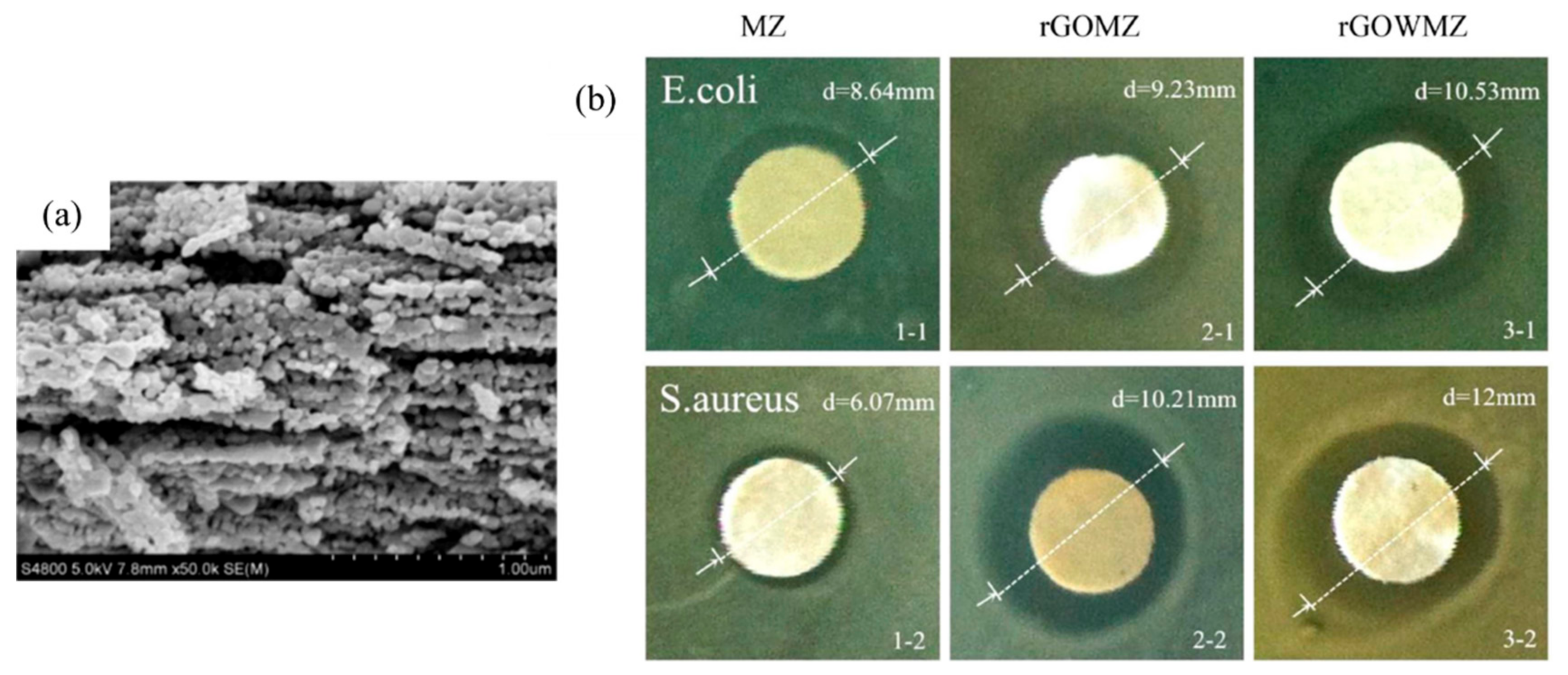 Catalysts 12 01138 g028