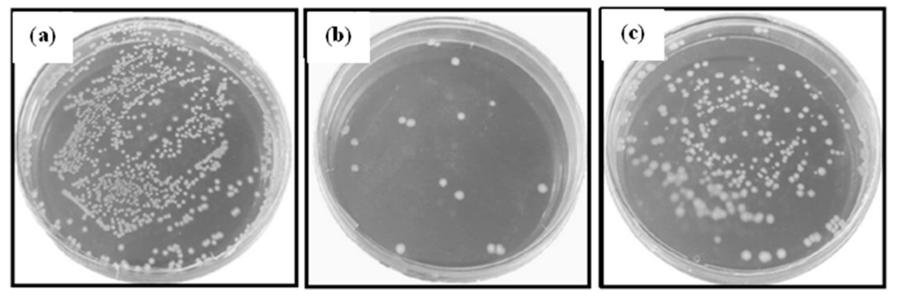 Catalysts 12 01138 g030
