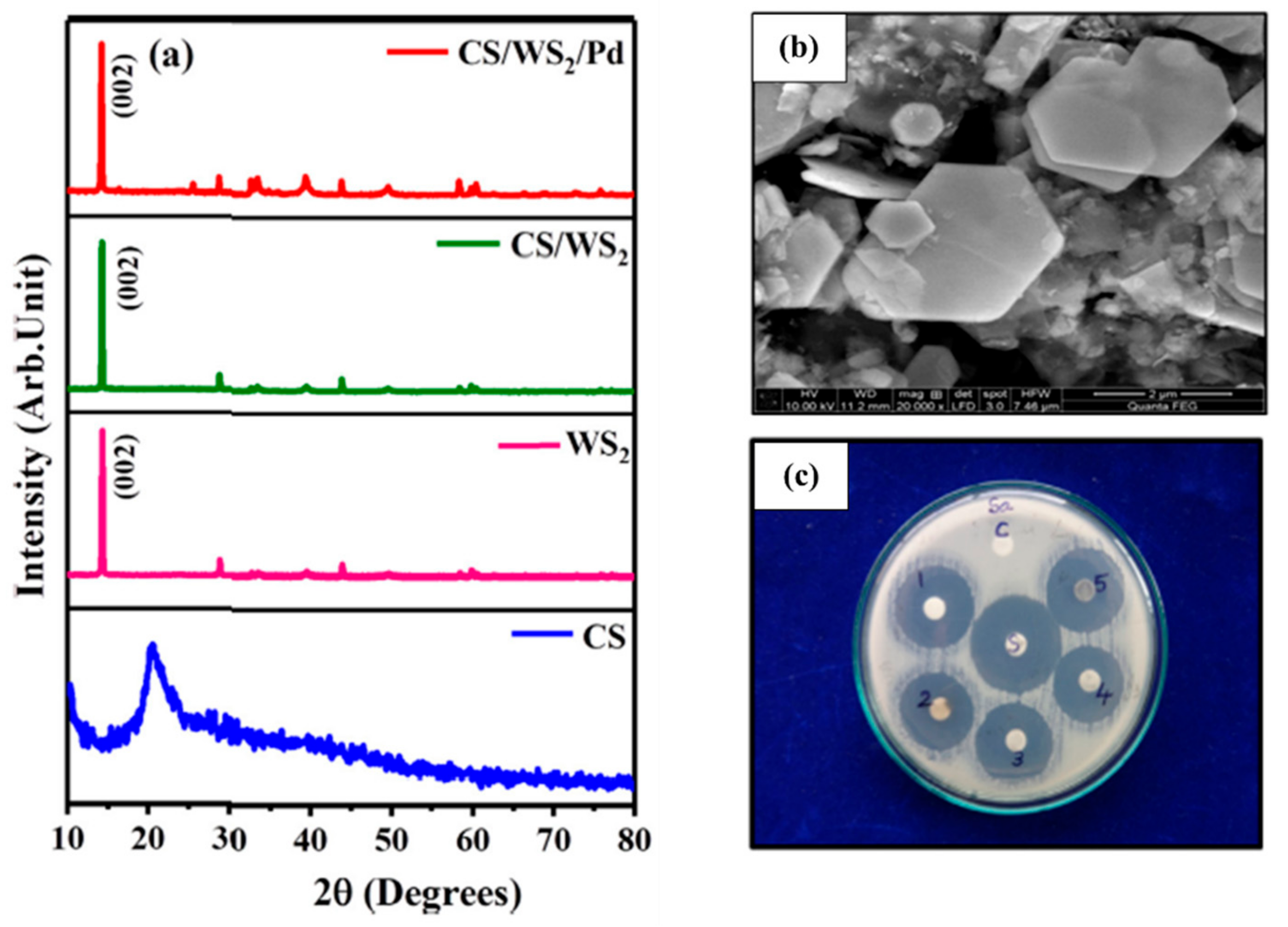 Catalysts 12 01138 g031