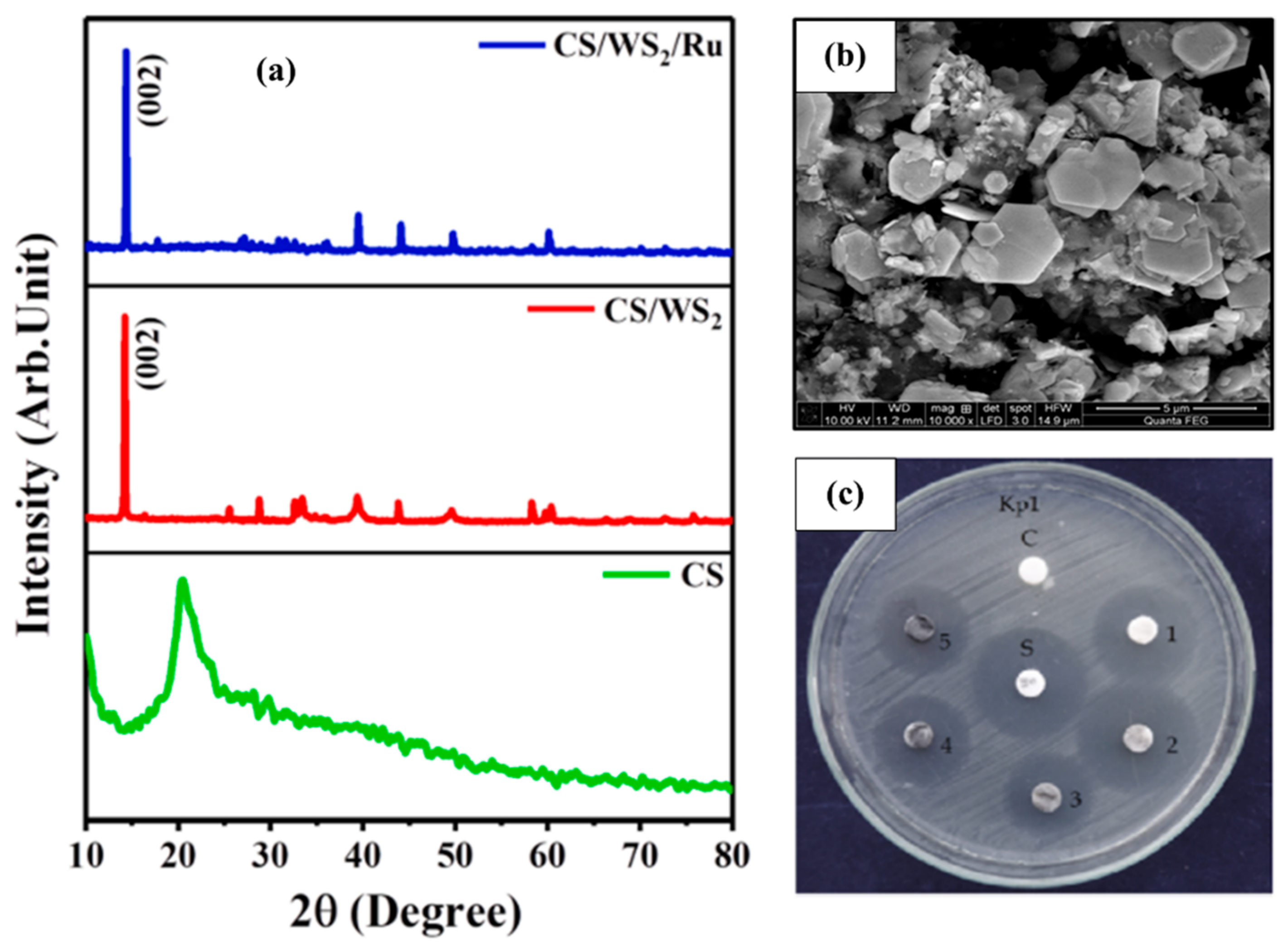 Catalysts 12 01138 g032