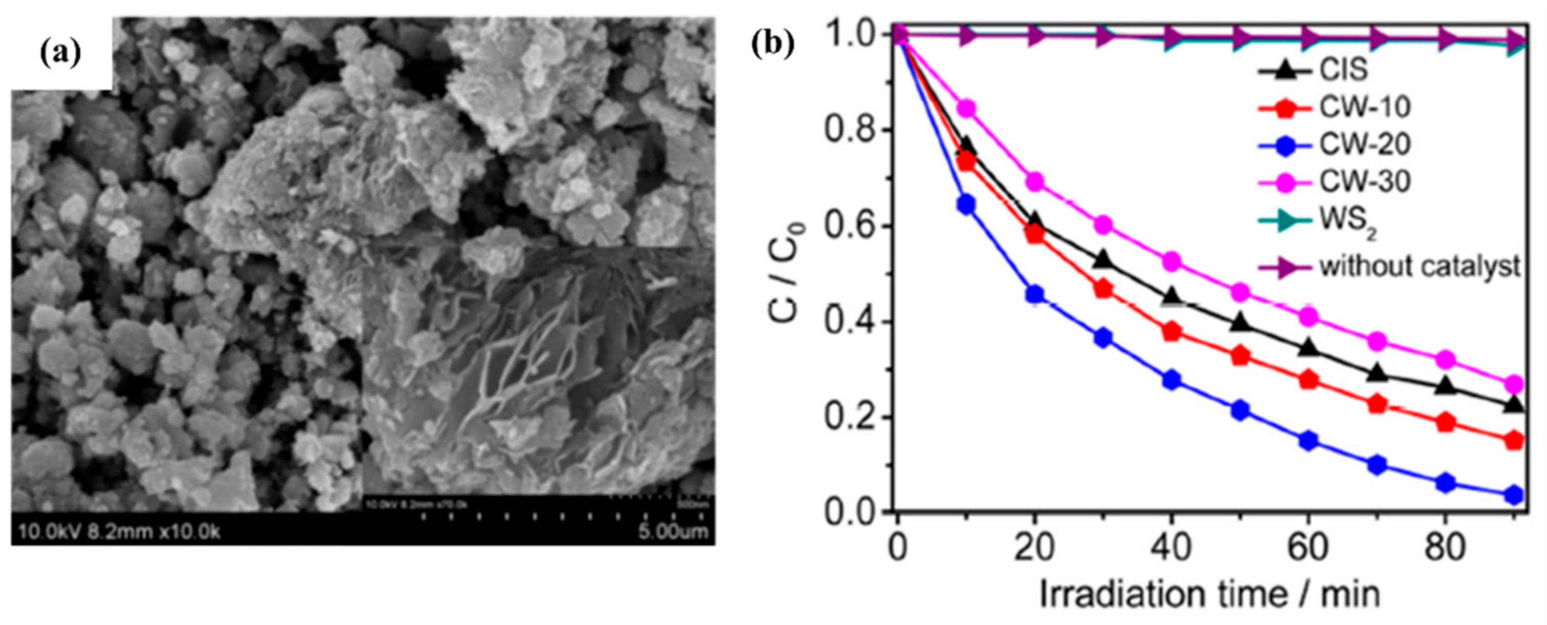 Catalysts 12 01138 g033