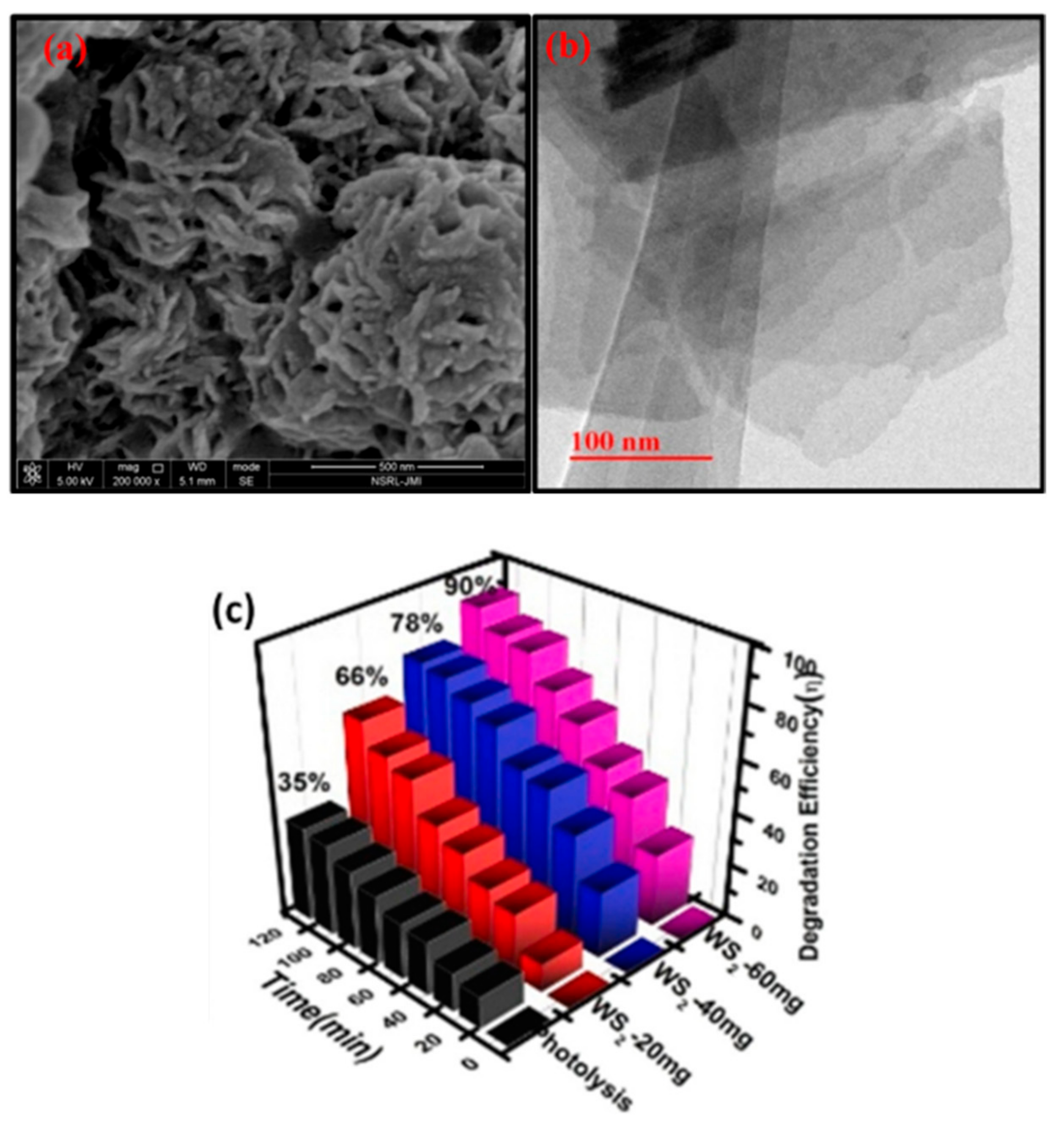 Catalysts 12 01138 g036