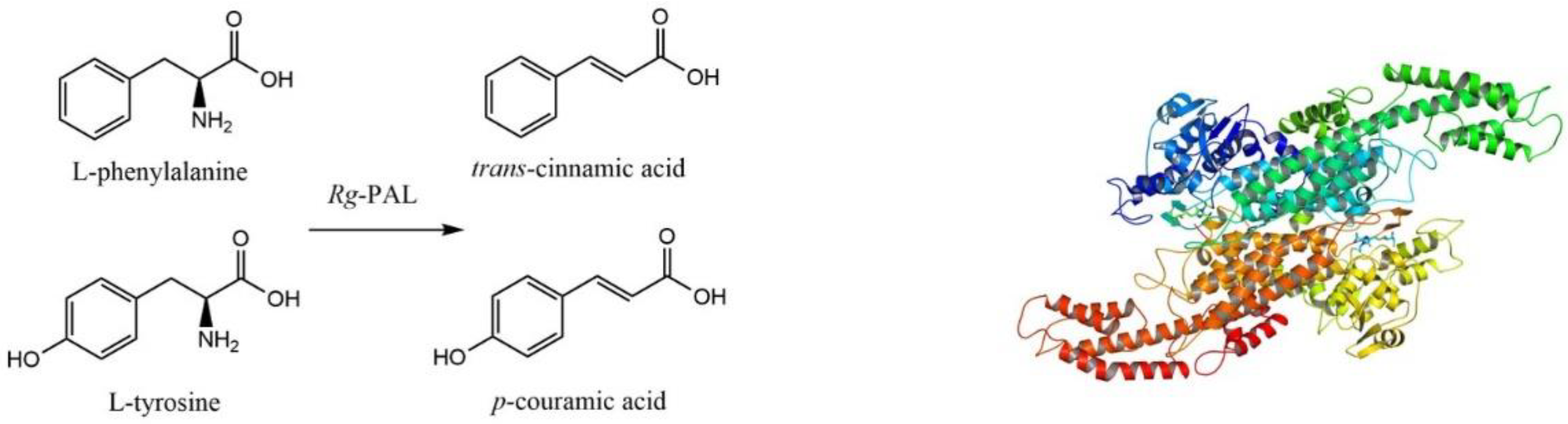 Catalysts 12 01144 g001