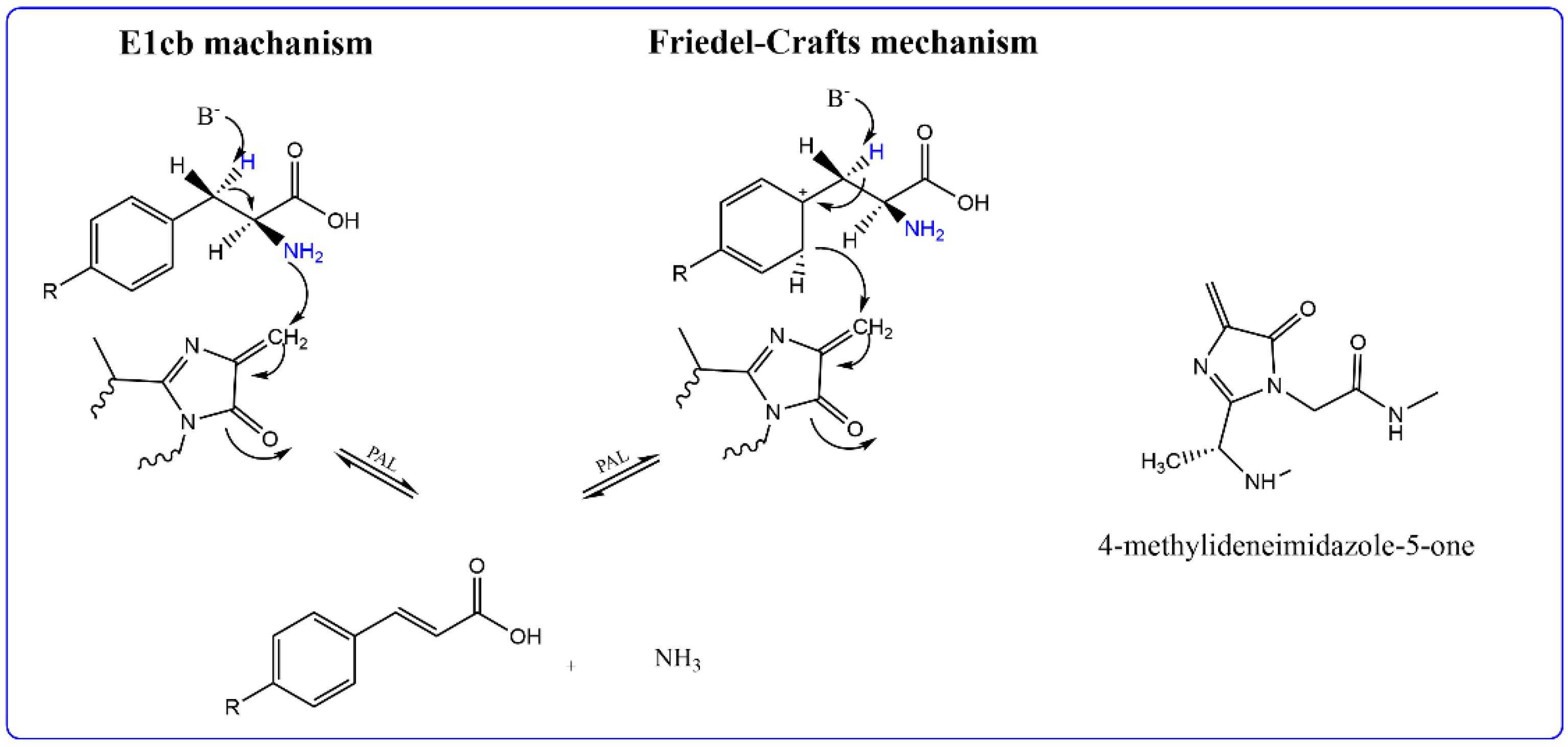 Catalysts 12 01144 g002