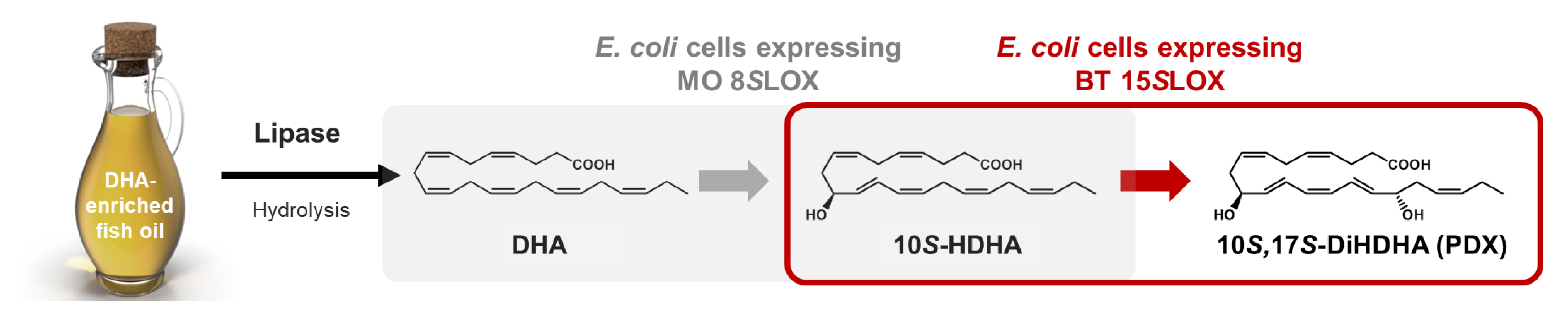 Catalysts 12 01145 g001