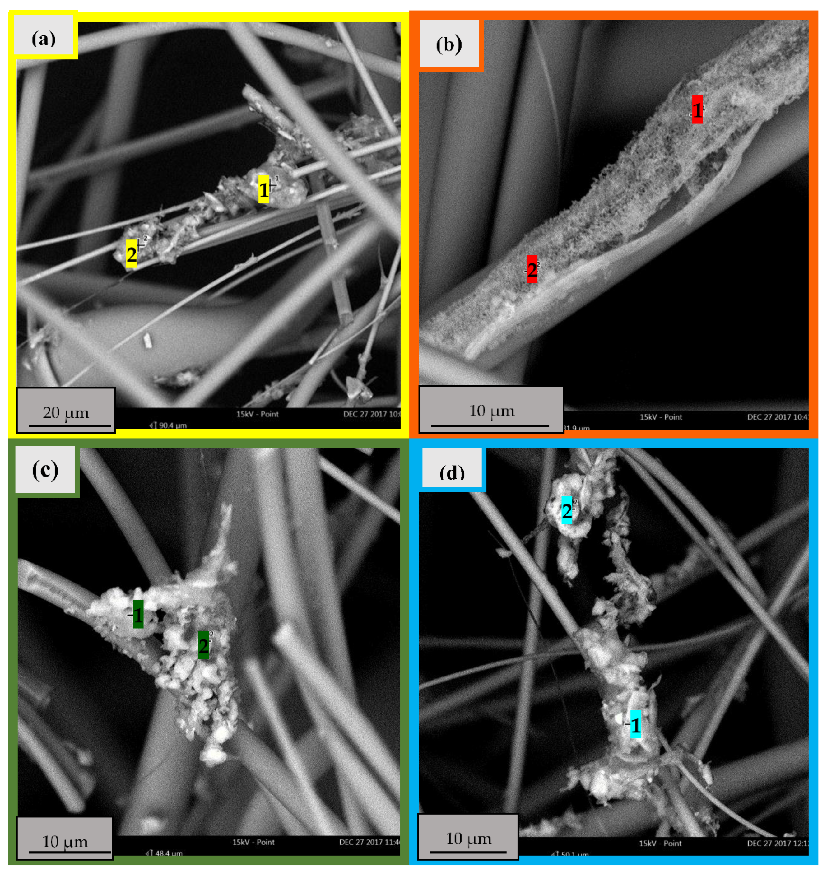 Catalysts 12 01153 g005