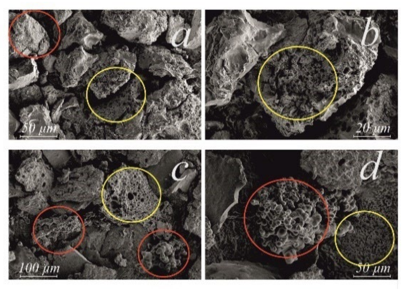 Catalysts 12 01154 g004