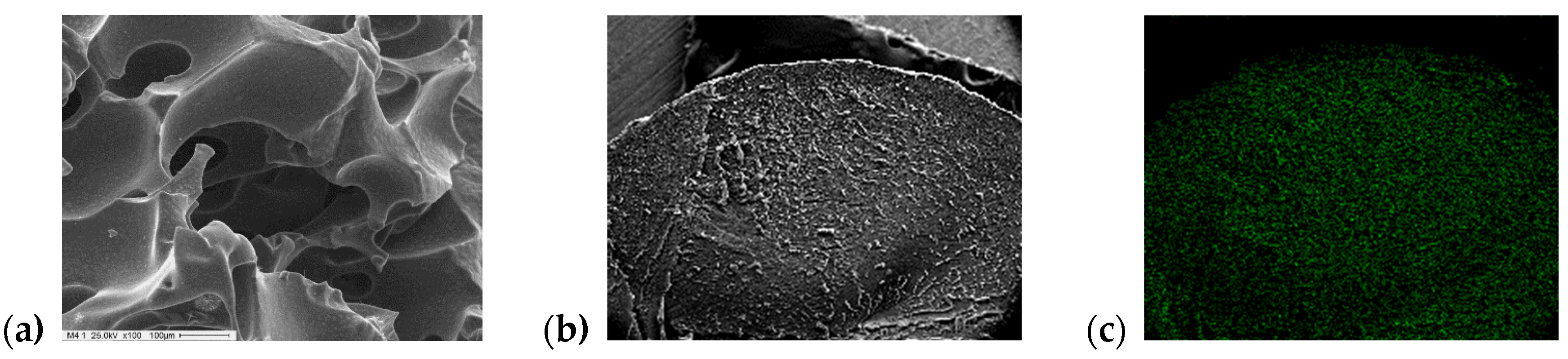 Catalysts 12 01155 g001