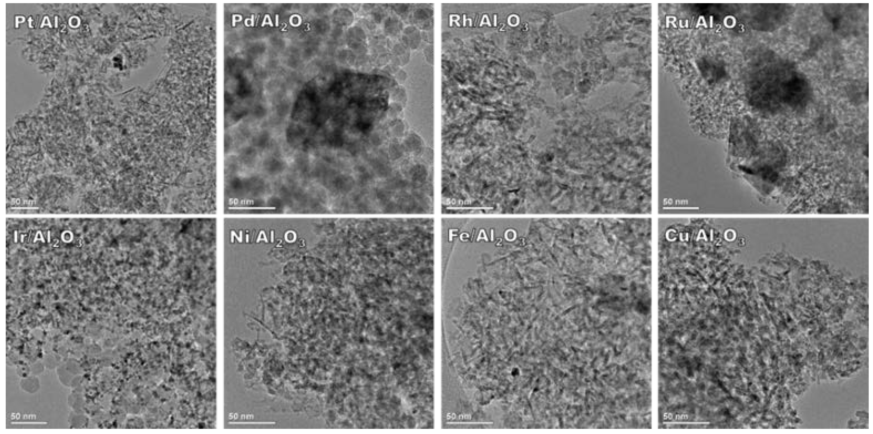 Catalysts 12 01186 g001 Catalysts 12 01186 g001