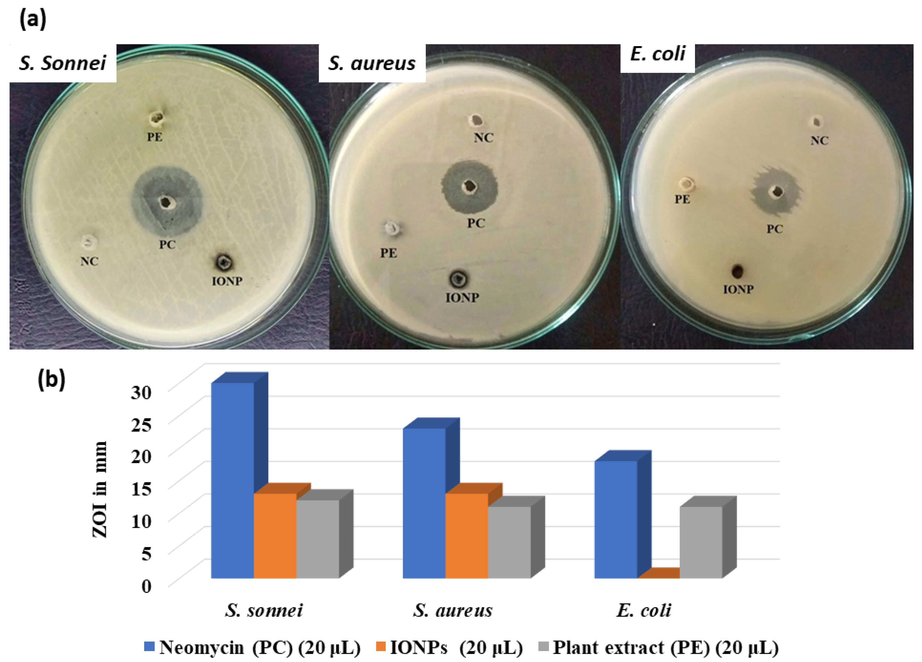 Catalysts 12 01188 g007 Catalysts 12 01188 g007