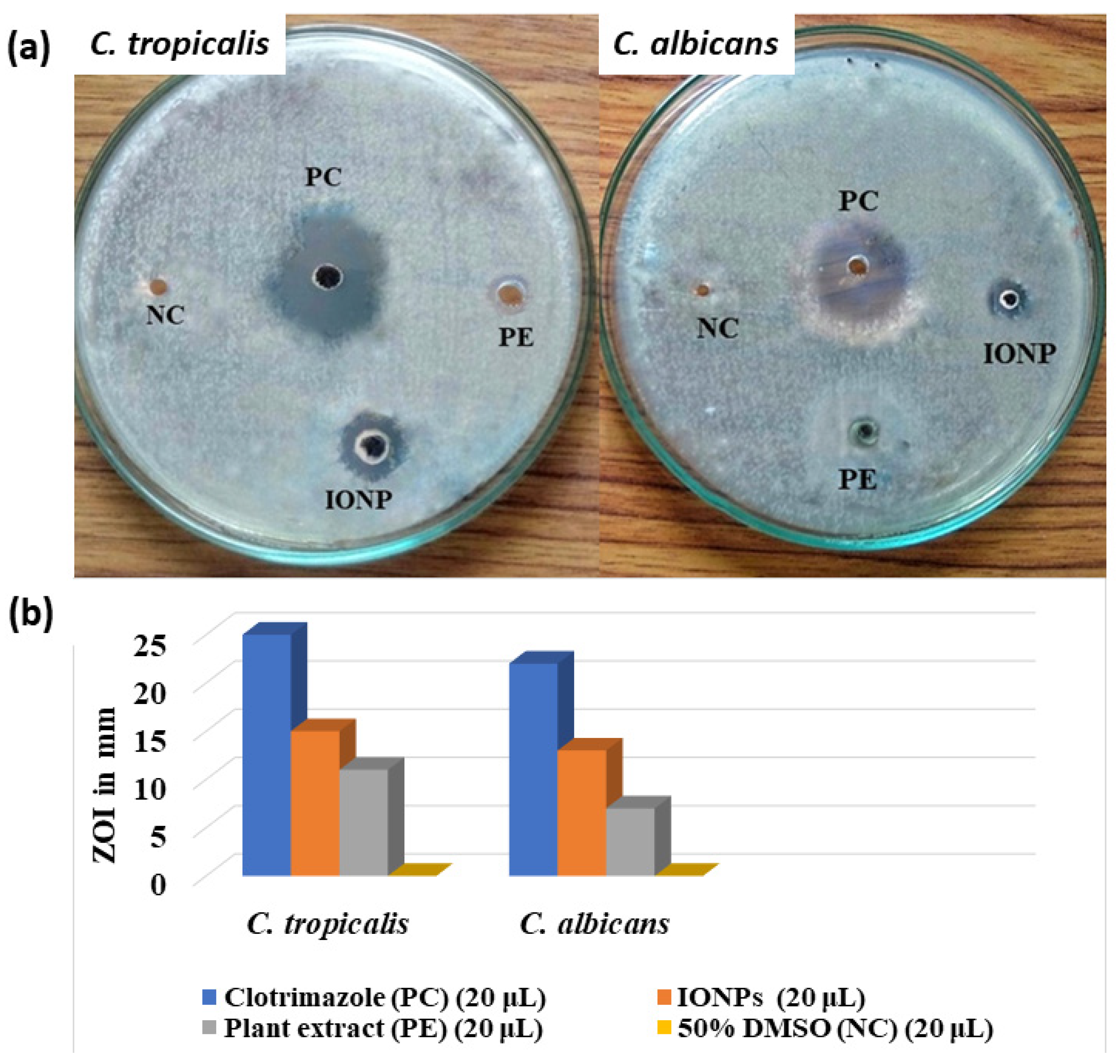 Catalysts 12 01188 g008 Catalysts 12 01188 g008